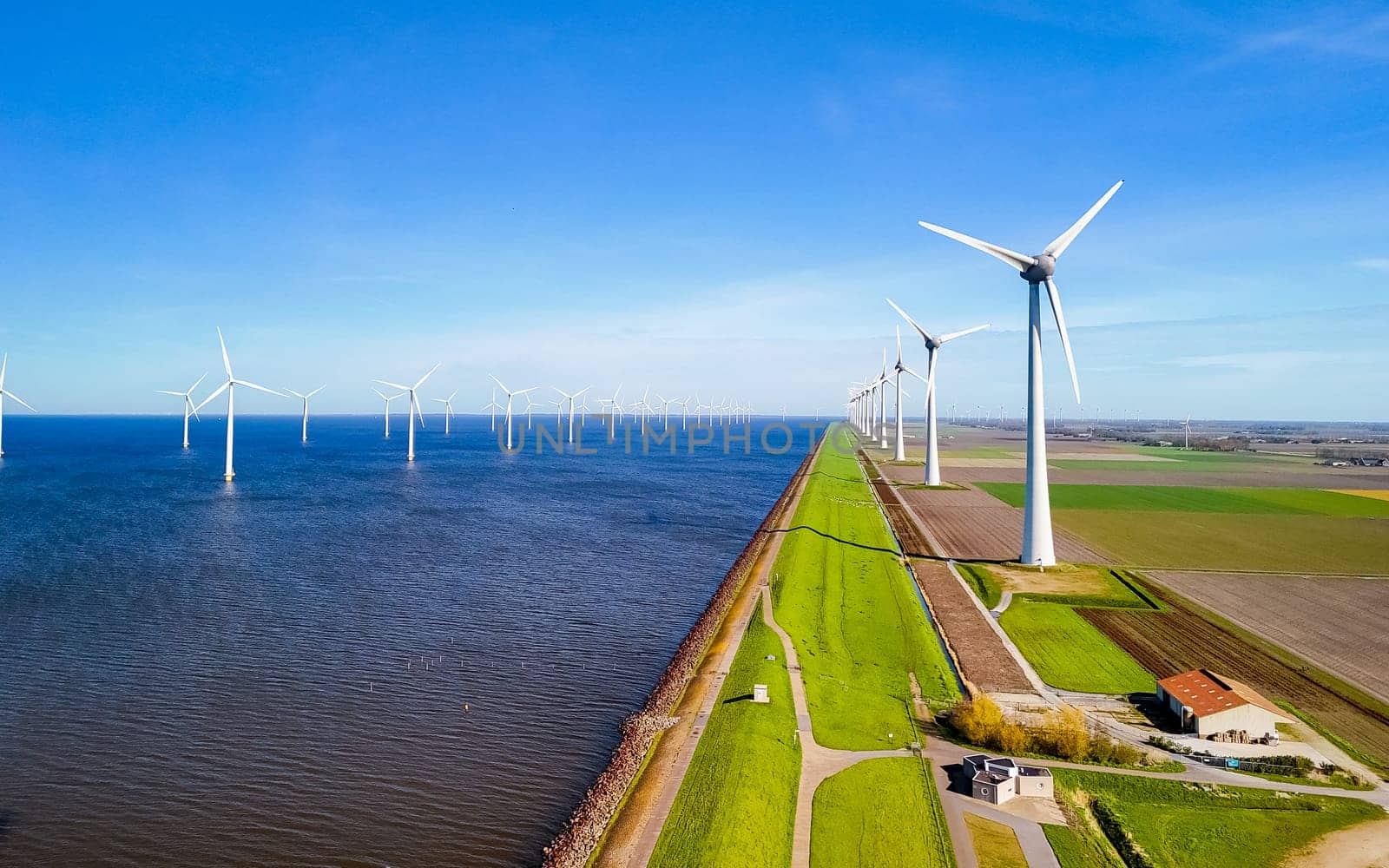 A tranquil scene of a row of windmills standing tall next to a calm lake in Flevoland, Netherlands by fokkebok