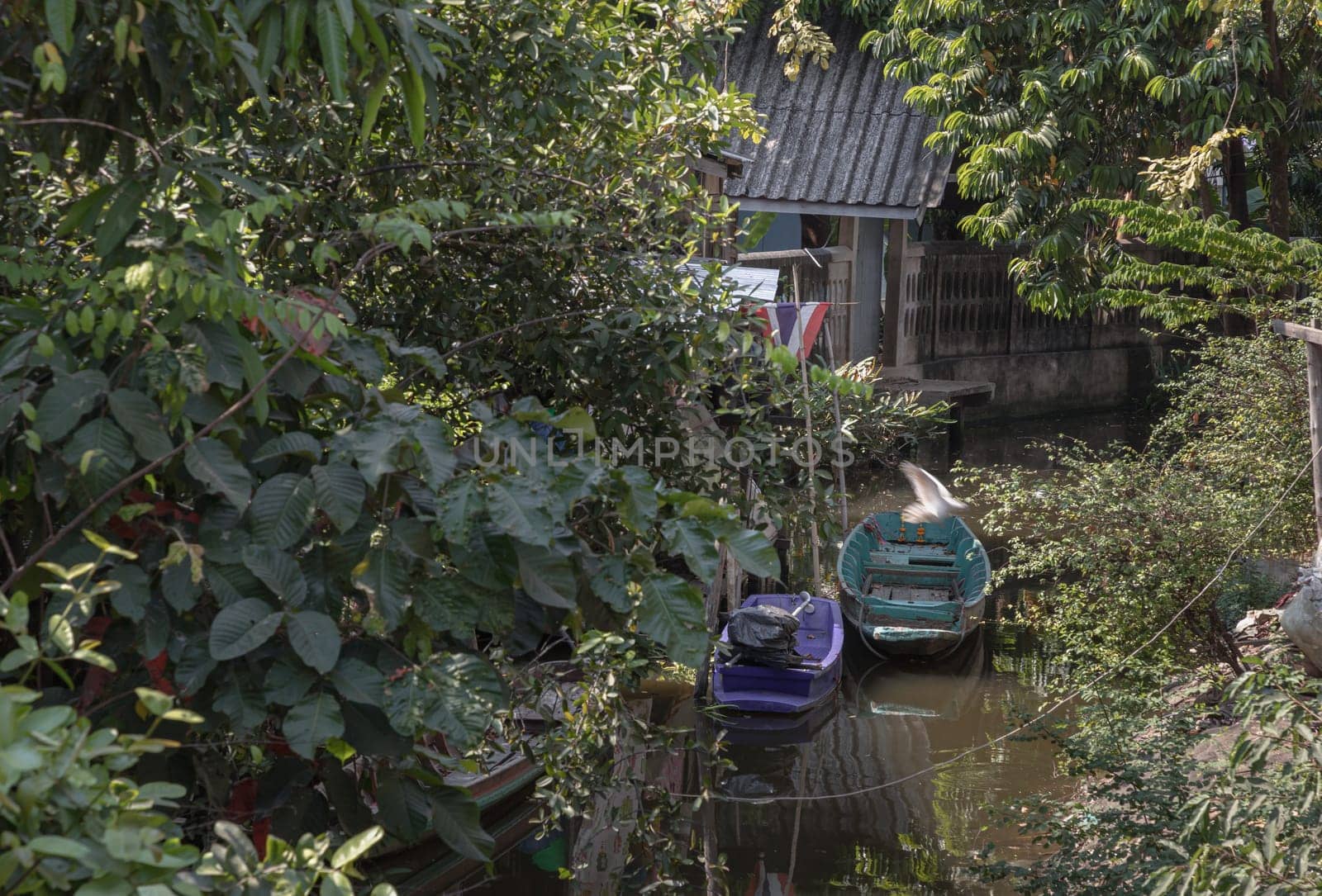 Wooden rowboat and Small motor boat moored behind house on canal amongst trees and water. Space for text, Selective focus.