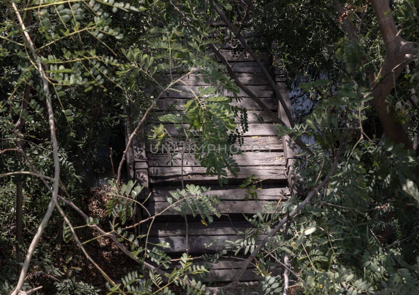 Old wooden suspension bridge in the middle of the forest surrounded by lush green forest with Sunlight through the leaves, Wooden bridge crossing forest tropical eco-park, Beauty nature scene. Copy space, Selective focus.