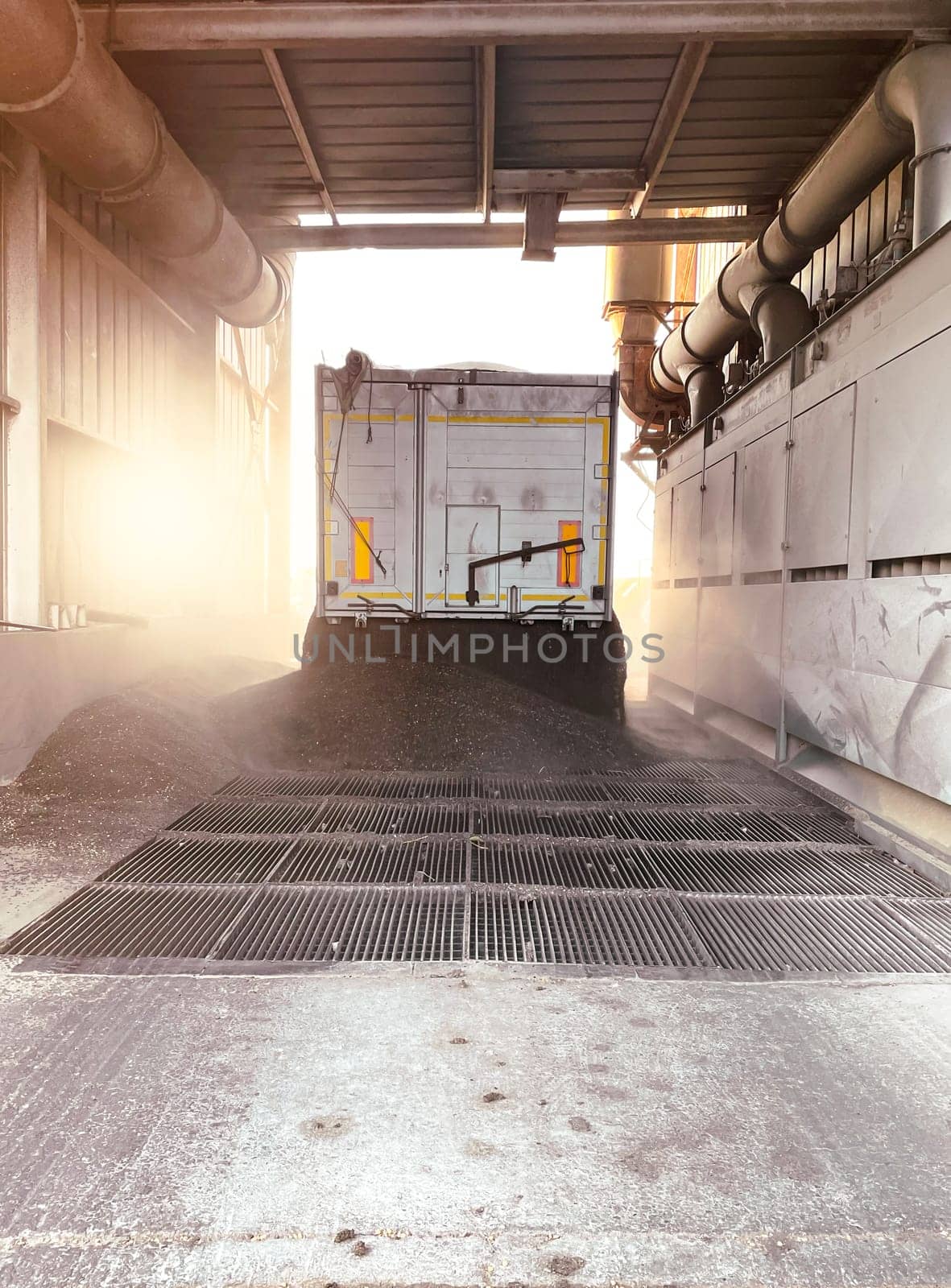 Grain delivery under blockade. High oleic sunflower seed is poured from a truck into a silo. Production and transportation of grain crops