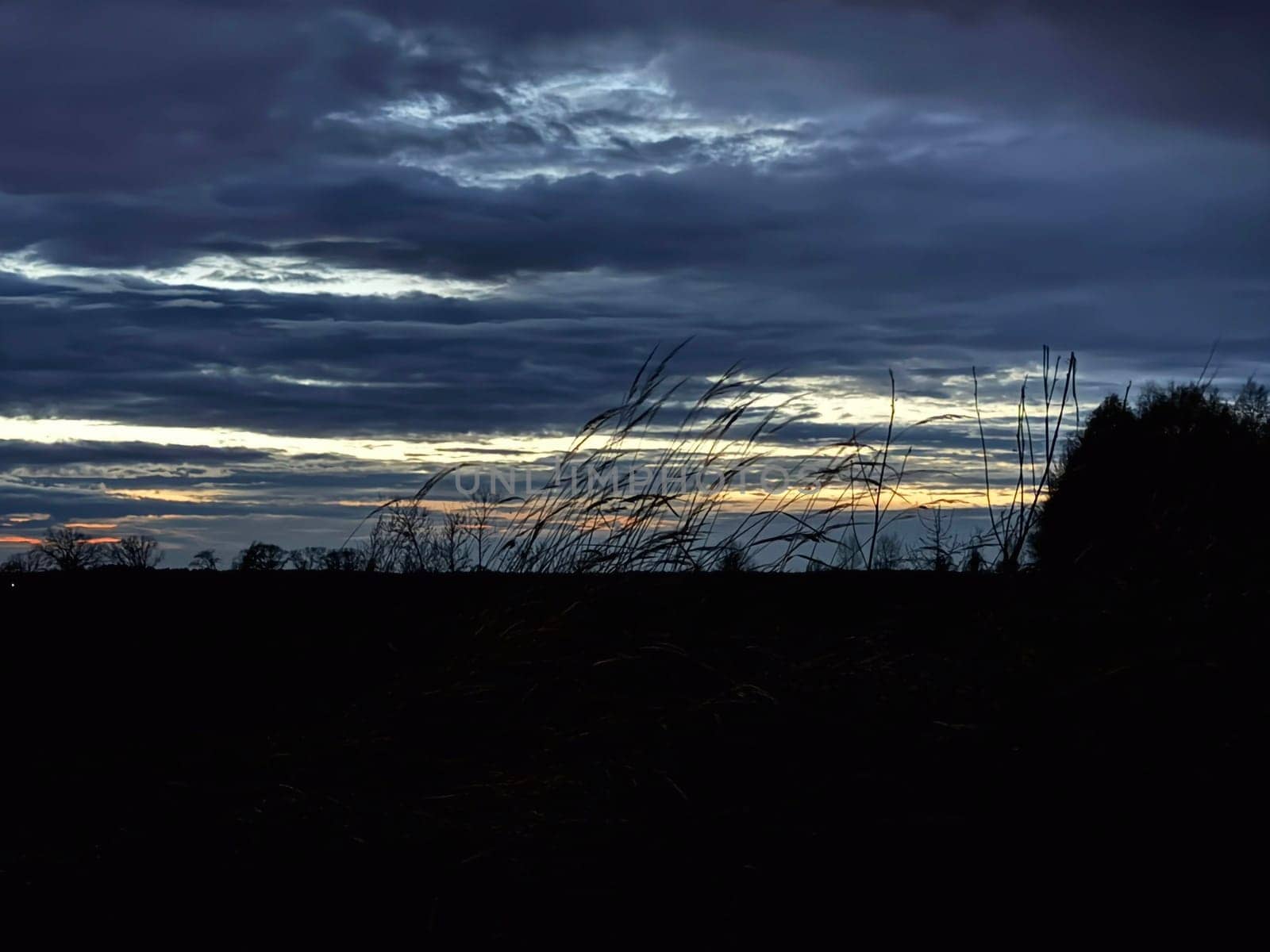 Dawn in the morning in nature on a the river