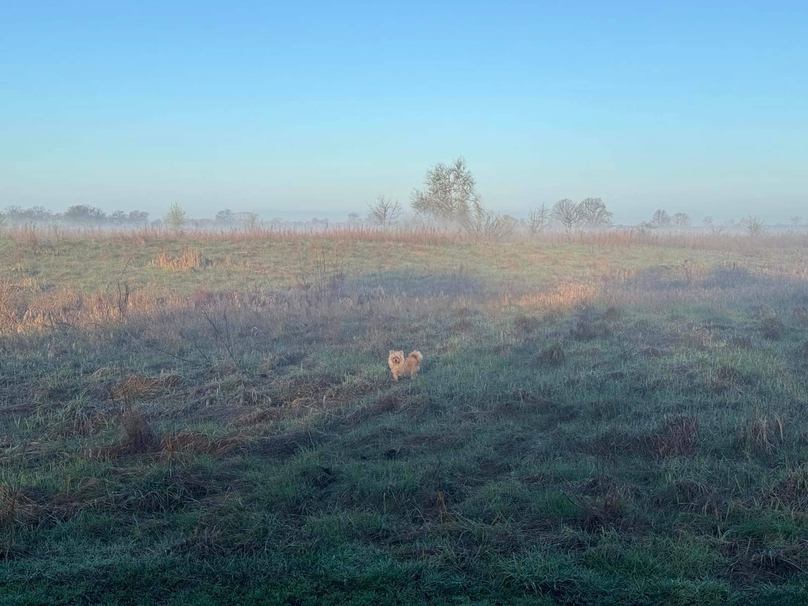 Dawn in the morning in nature on a the river