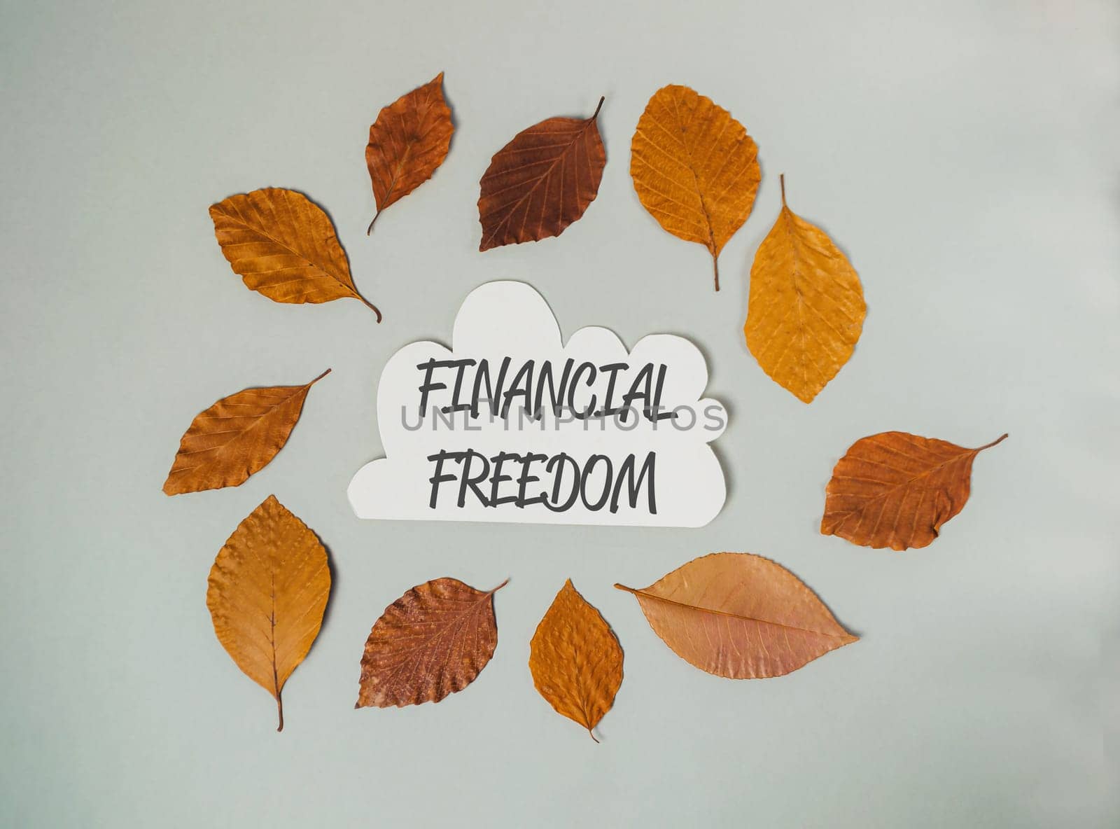 A circle of leaves with the word financial freedom written in the center by Alla_Morozova93