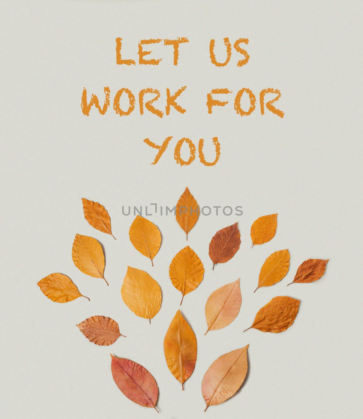 A poster with leaves and the words "Let us work for you" by Alla_Morozova93