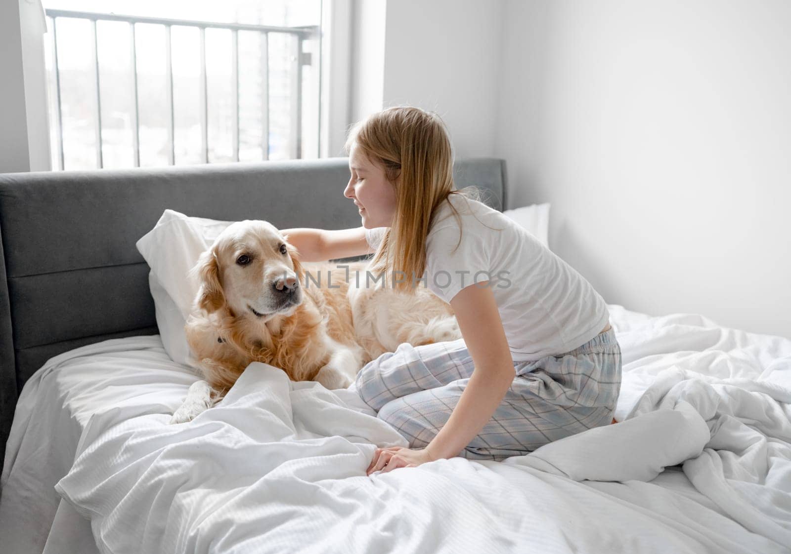 Small Girl Plays With Golden Retriever Dog On Bed