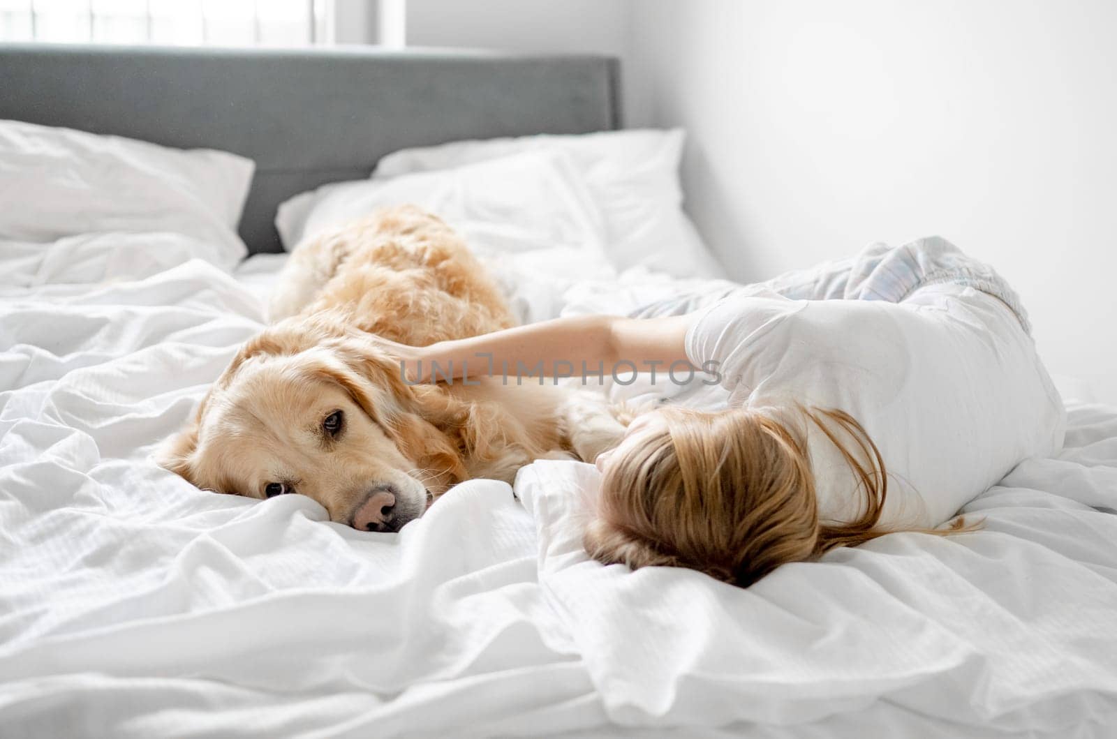 Girl Plays With Golden Retriever In Bed In The Morning In A Bright Room