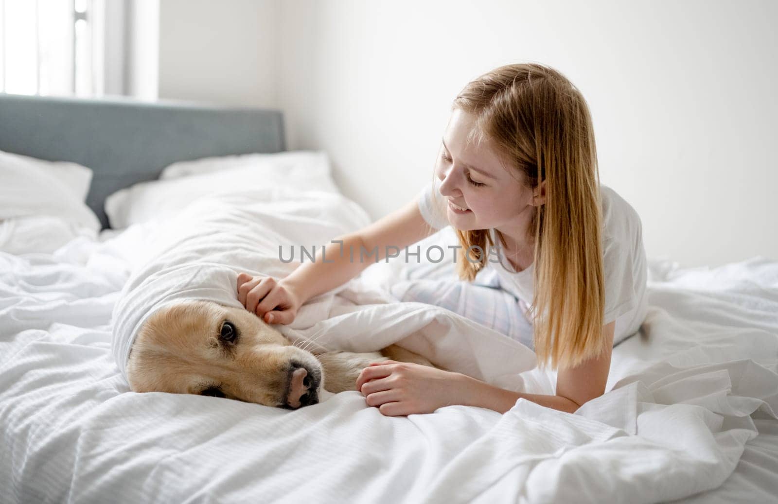 Girl Plays With Golden Retriever On Bed, Covering It With Blanket by tan4ikk1