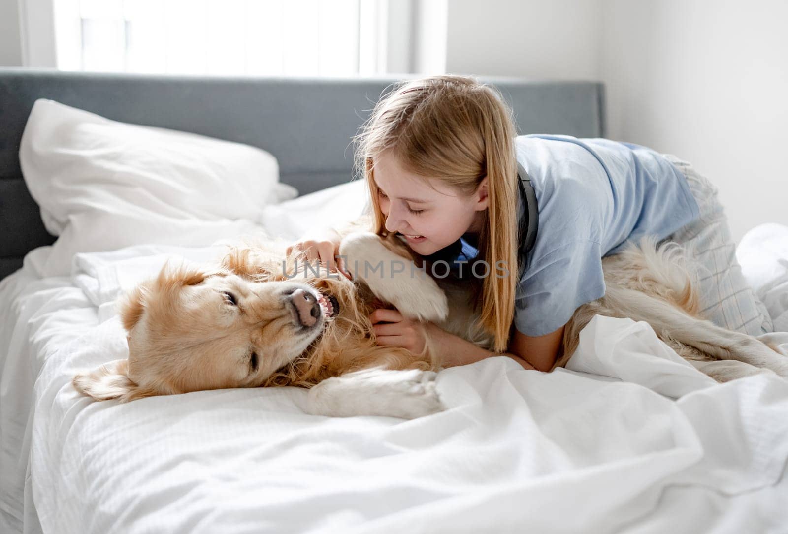 Girl Plays With Golden Retriever In Bed In The Morning In A Bright Room