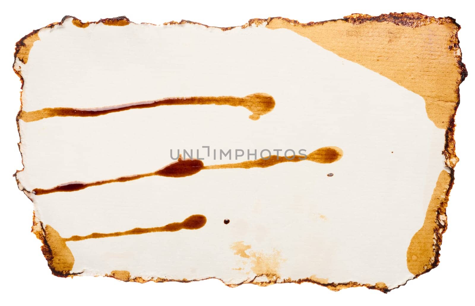 White torn piece of paper drenched in coffee on an isolated background by ndanko