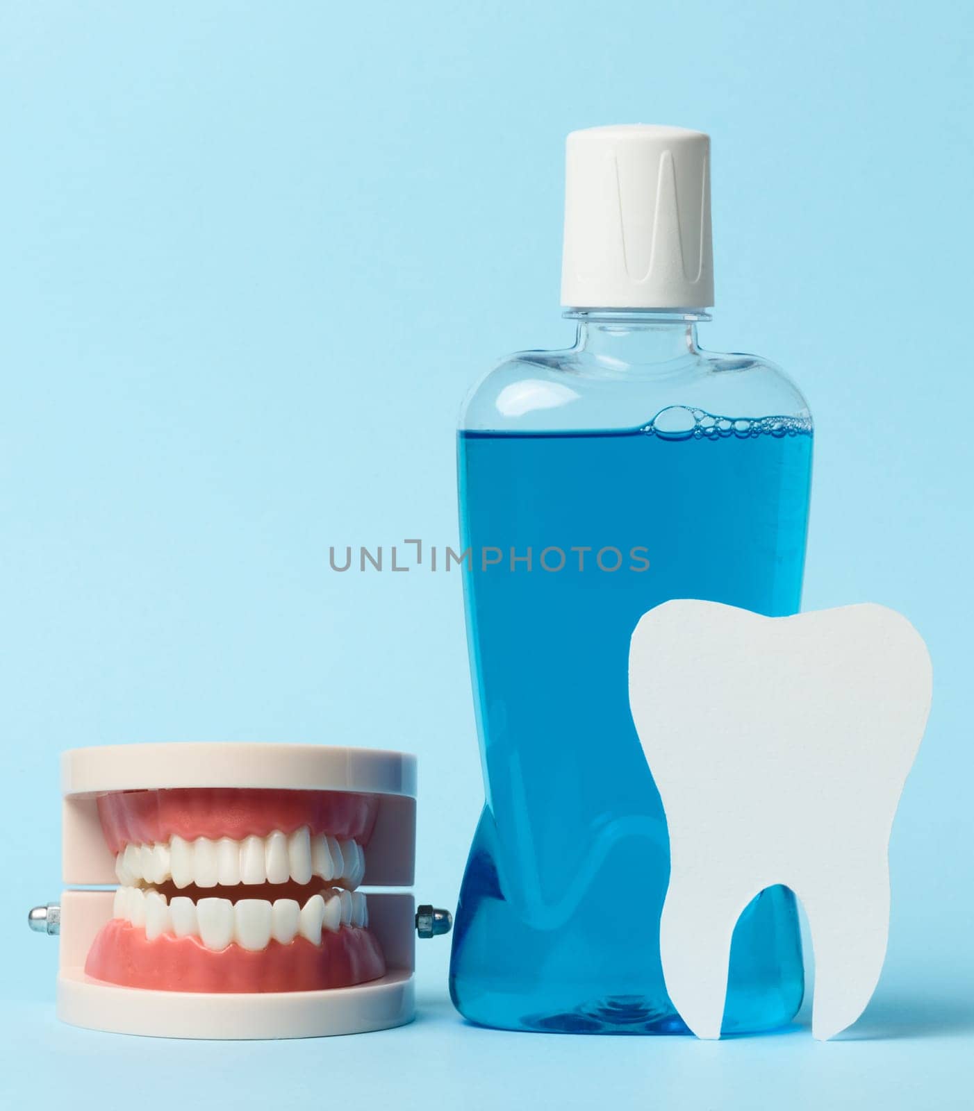 Human jaw model, mouthwash on blue background, oral hygiene