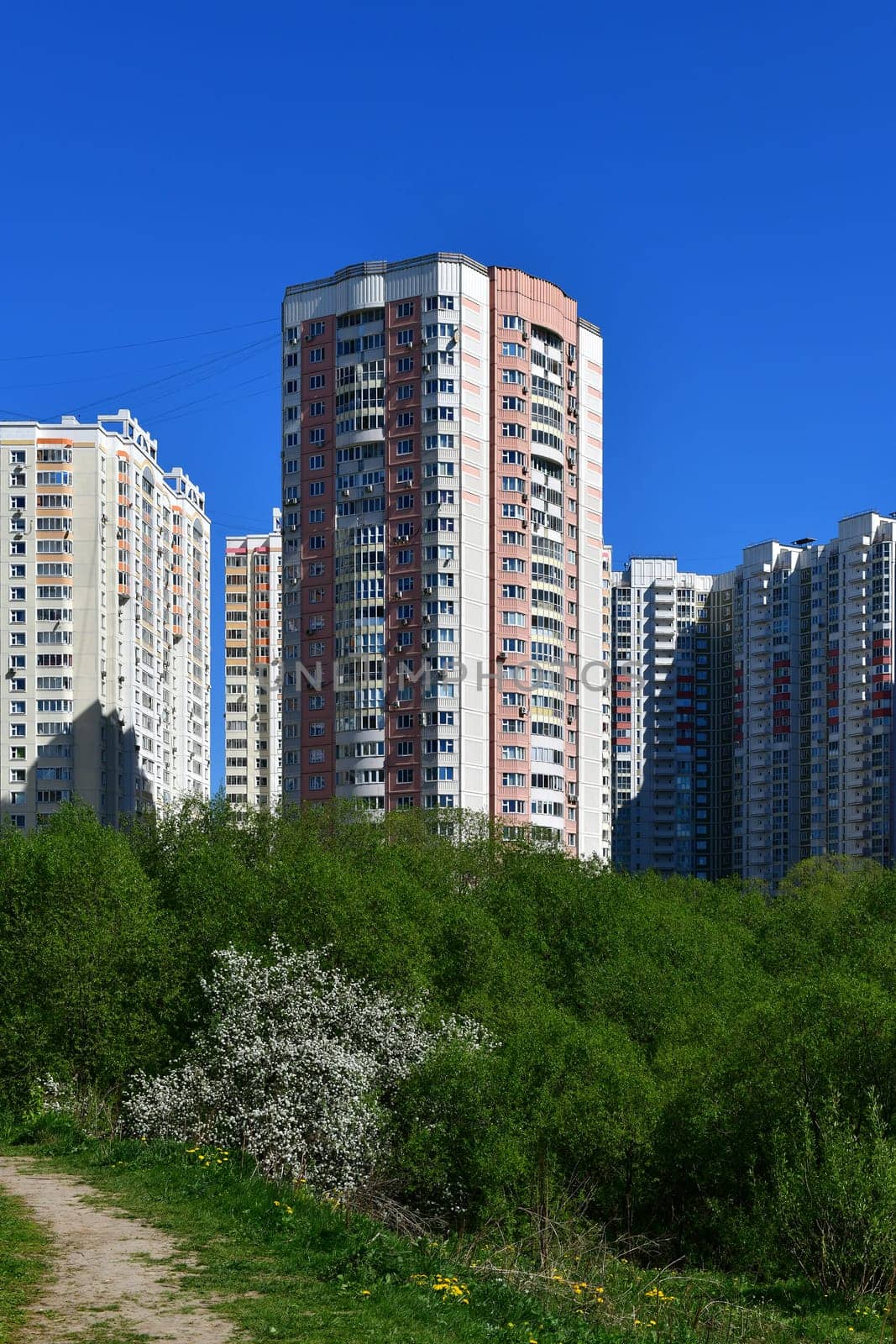 City houses surrounded by trees in the Moscow, Russia