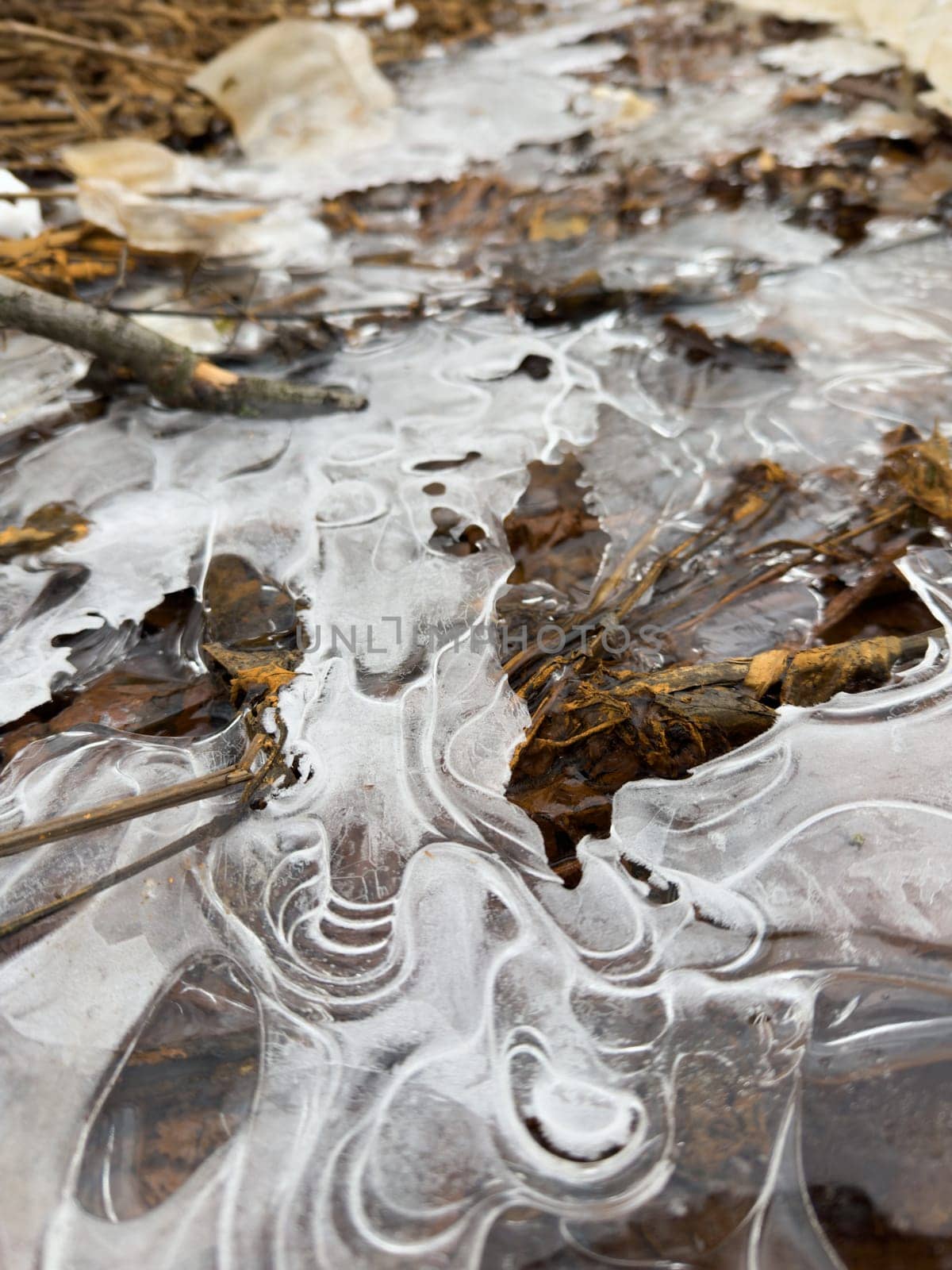 thin transparent ice on a puddle in the park on a spring day, foliage through the ice, dry grass through ice. High quality photo