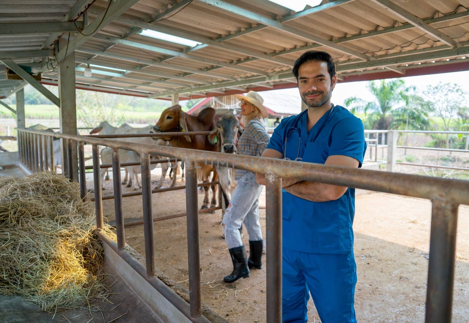 Portrait of veterinarian with blue gloves stand with arm-crossed stay in cow stable and the owner also check condition of her cows in the background. by nrradmin