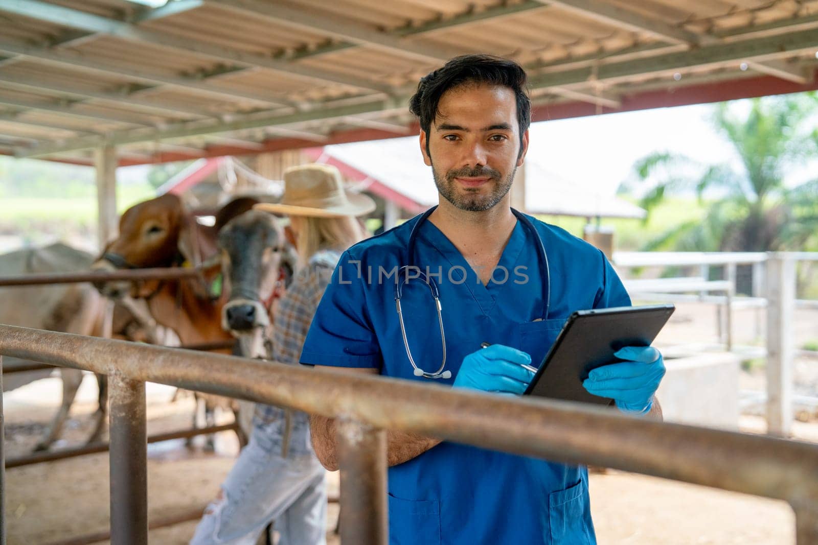 Portrait of veterinarian with blue gloves hold tablet stay in front of cow stable also look to at camera and the owner also check condition of her cows in the background.