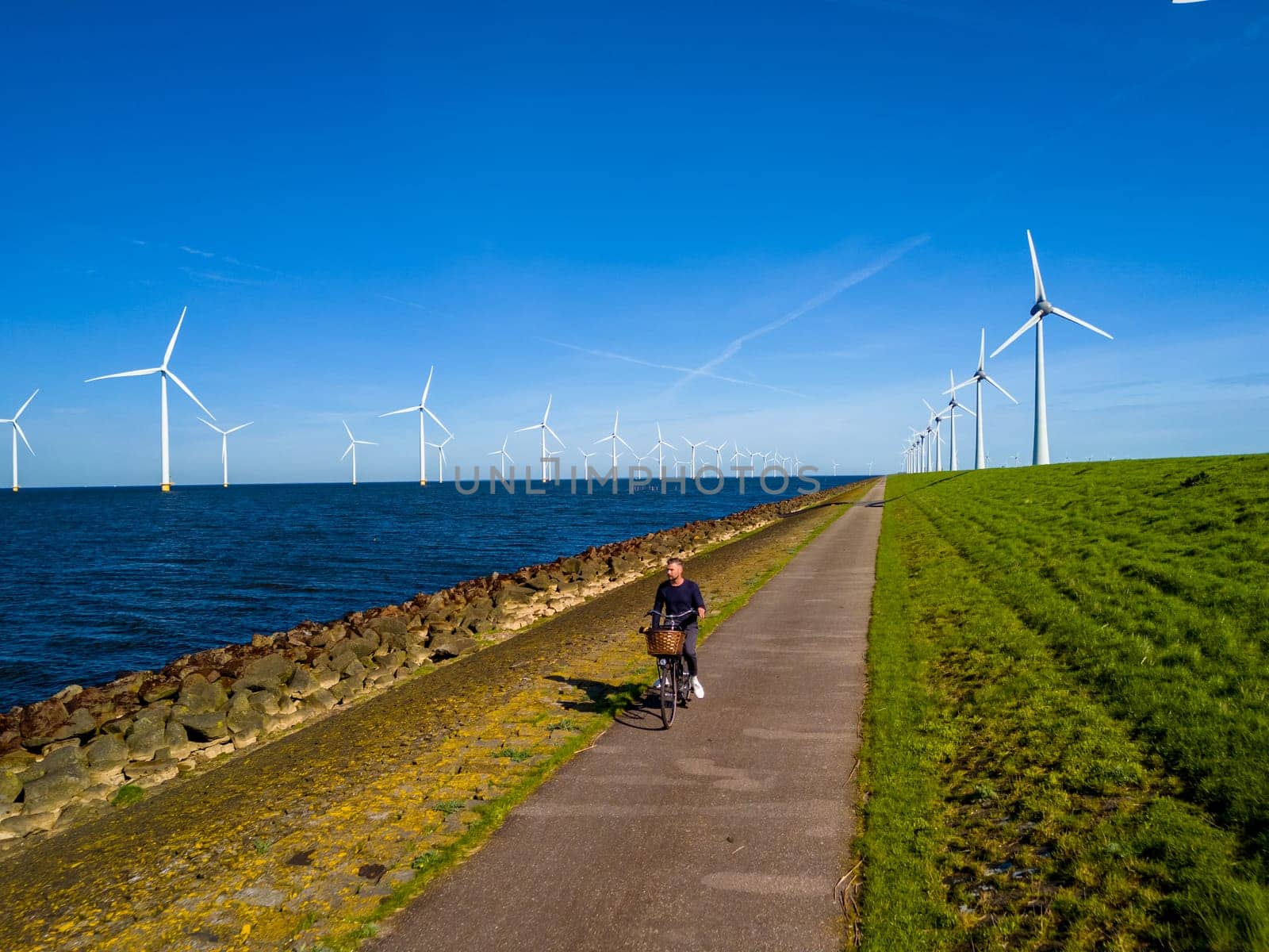 A ma cycling along a path beside the Ijsselmeer lake, with windmill turbines in Spring by fokkebok