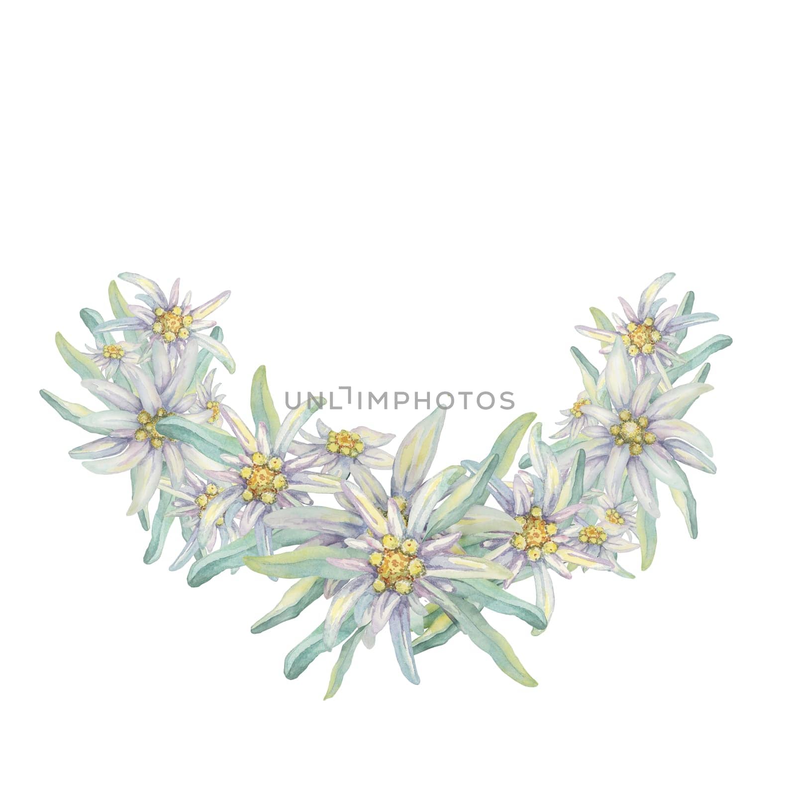 Partial arch wreath of edelweiss flowers by Fofito