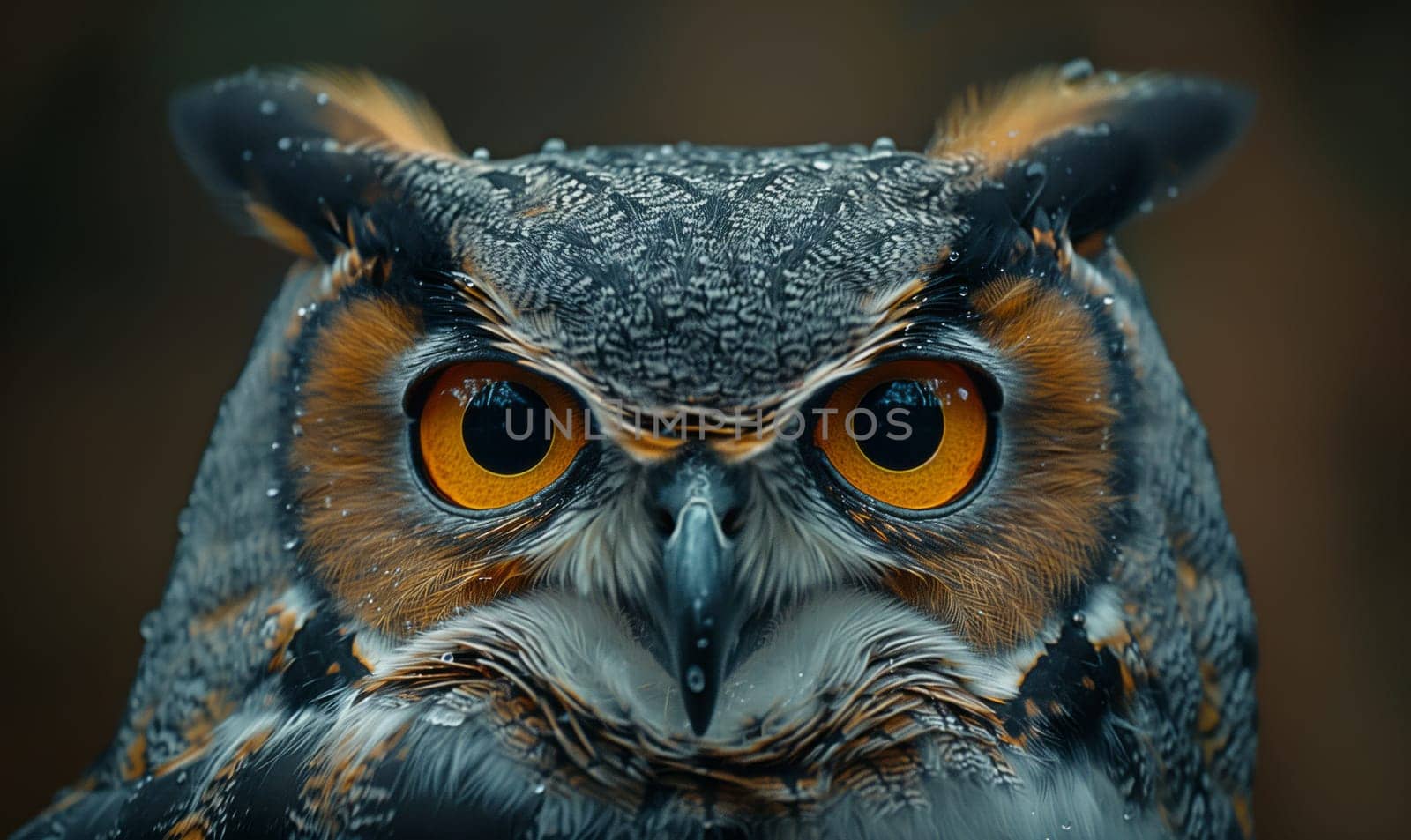 A closeup photograph of a great horned owls head with mesmerizing yellow eyes, prominent green feathers, and a sharp beak looking directly at the camera, showcasing the beauty of nature