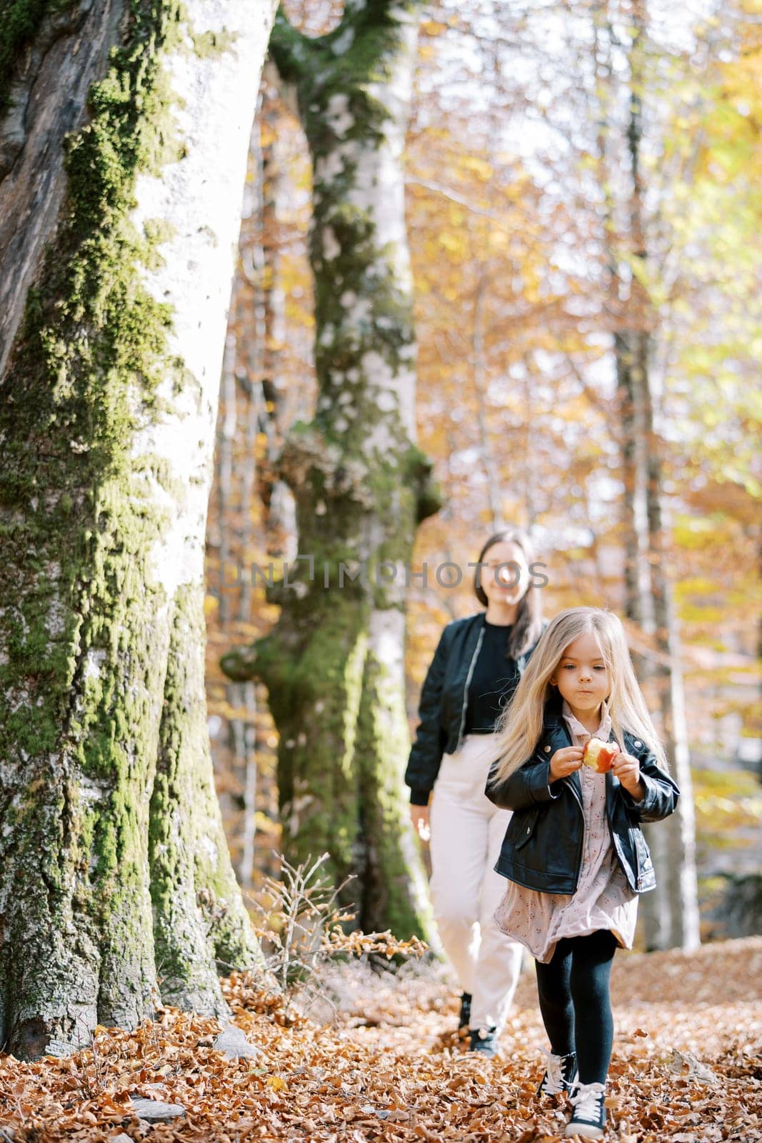 Mom follows a little girl gnawing an apple in the autumn forest. High quality photo