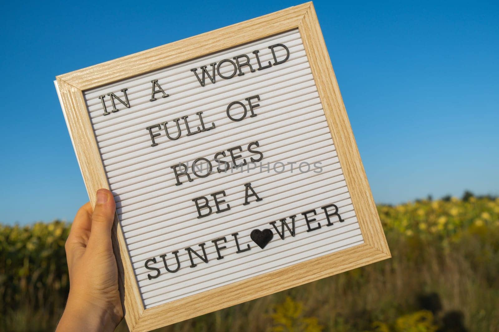 IN A WORLD FULL OF ROSES BE A SUNFLOWER text on white board next to sunflower field. Sunny summer day. Motivational caption inspirational quote. Be unique by anna_stasiia