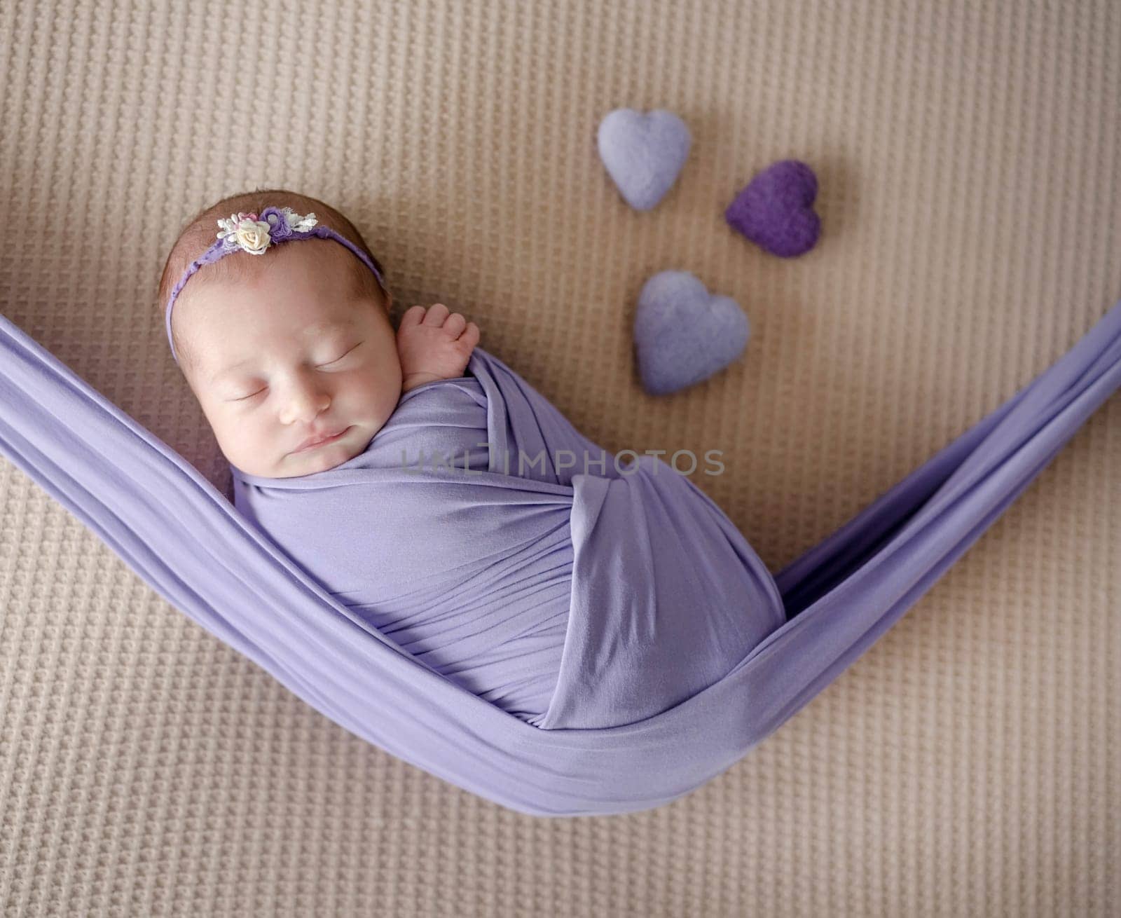 Newborn Girl Wrapped In Hammock Sleeps In Lilac Tones During Professional Newborn Photo Session