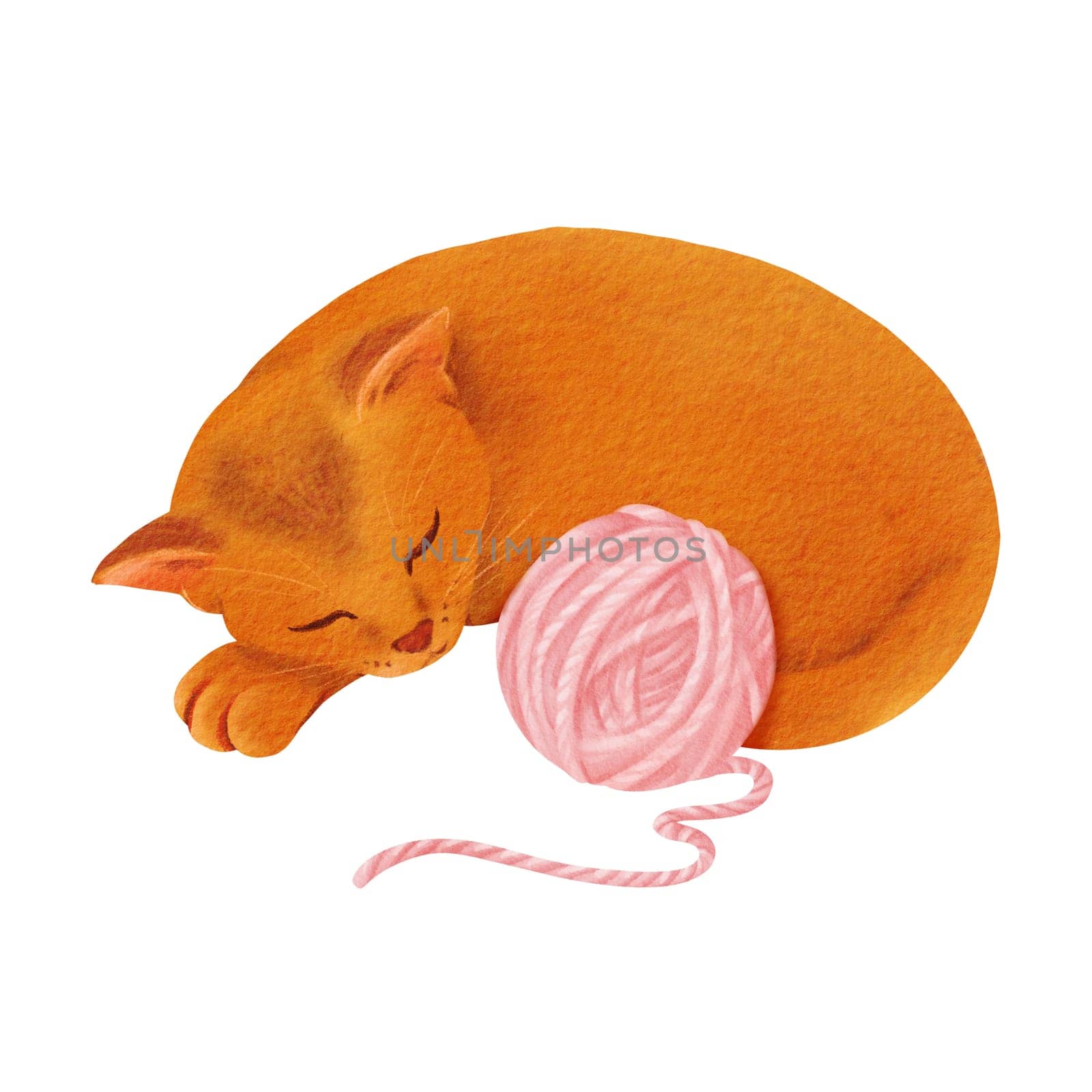 A composition a ginger kitten curled up asleep beside a pink yarn skein, for greeting cards, children's book illustrations, or pet-themed designs. Watercolor illustration by Art_Mari_Ka