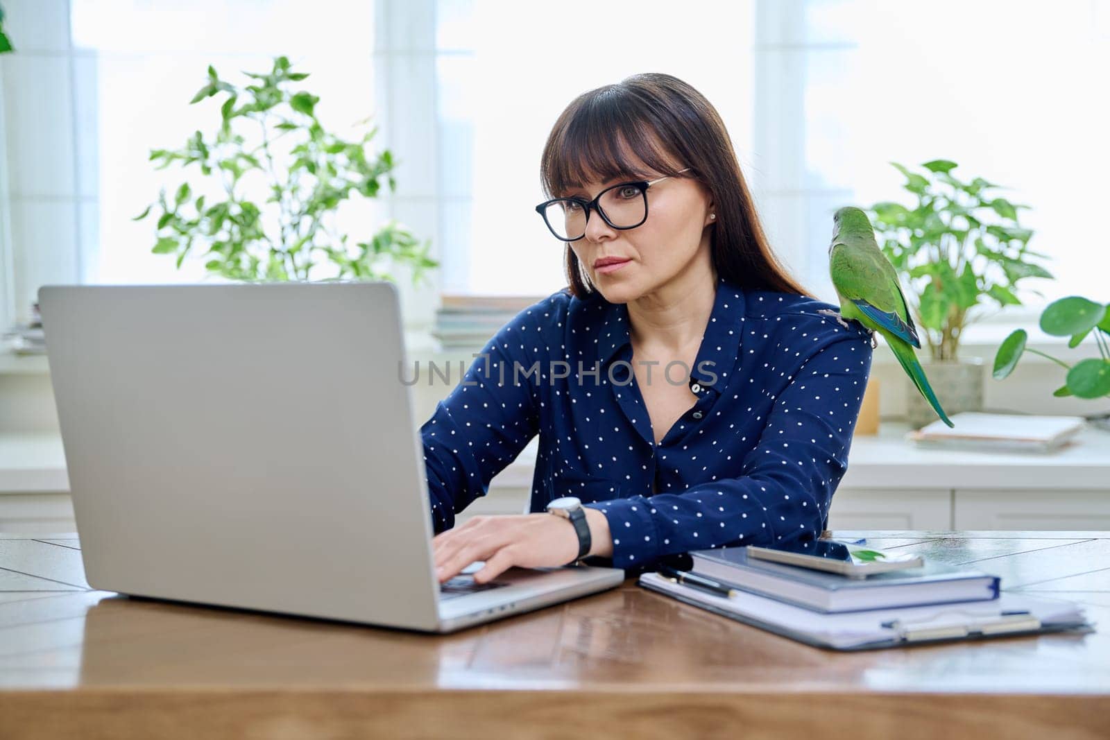 Middle aged woman sitting at workplace with computer in home office, holding pet with green quaker parrot on her shoulder. Work, lifestyle, pets, tropical birds