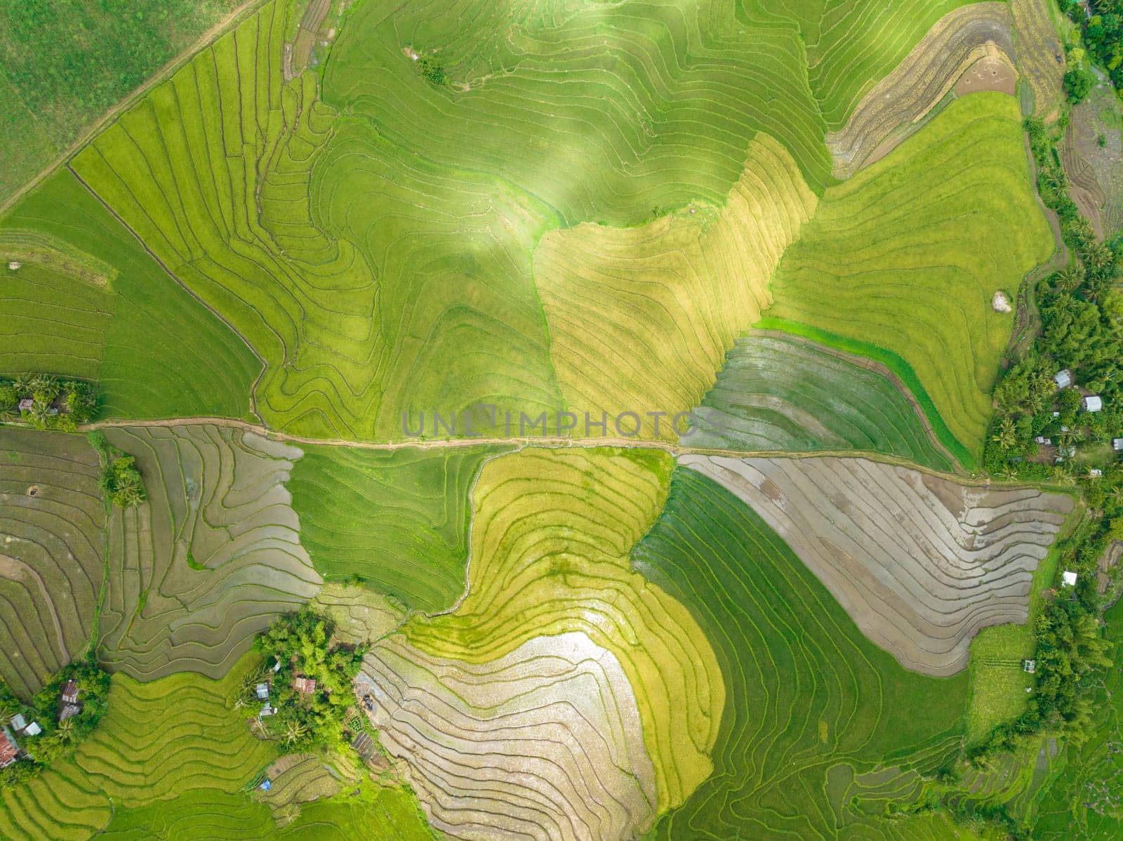 Aerial drone of farmland with rice terraces in the countryside. Negros, Philippines.