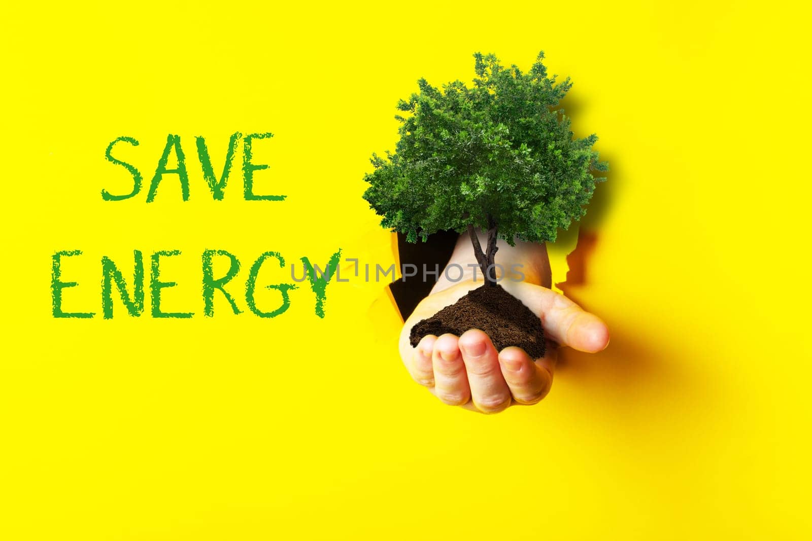 A hand holding a tree in front of a yellow background with the words save energy written below. Concept of taking care of the environment and using renewable energy sources