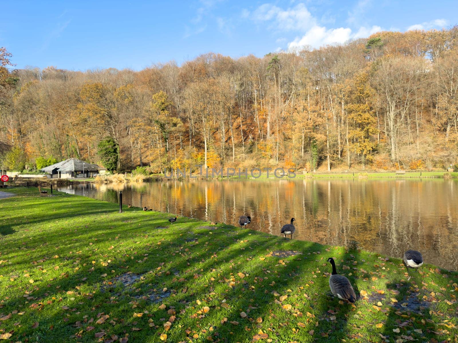 Green leisure park Bois des Reves with lake in Belgium by Bonandbon