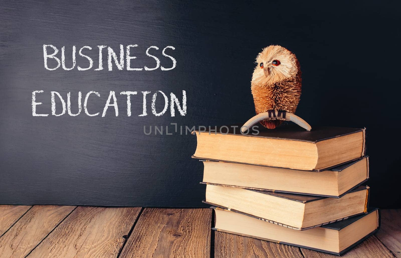 A small owl is sitting on top of a stack of books. The books are titled Business Education