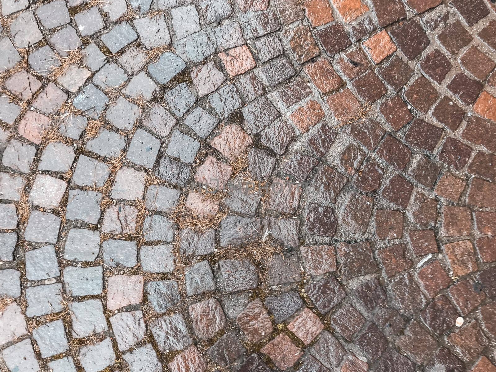 A brick walkway with a wet surface. The bricks are brown and gray