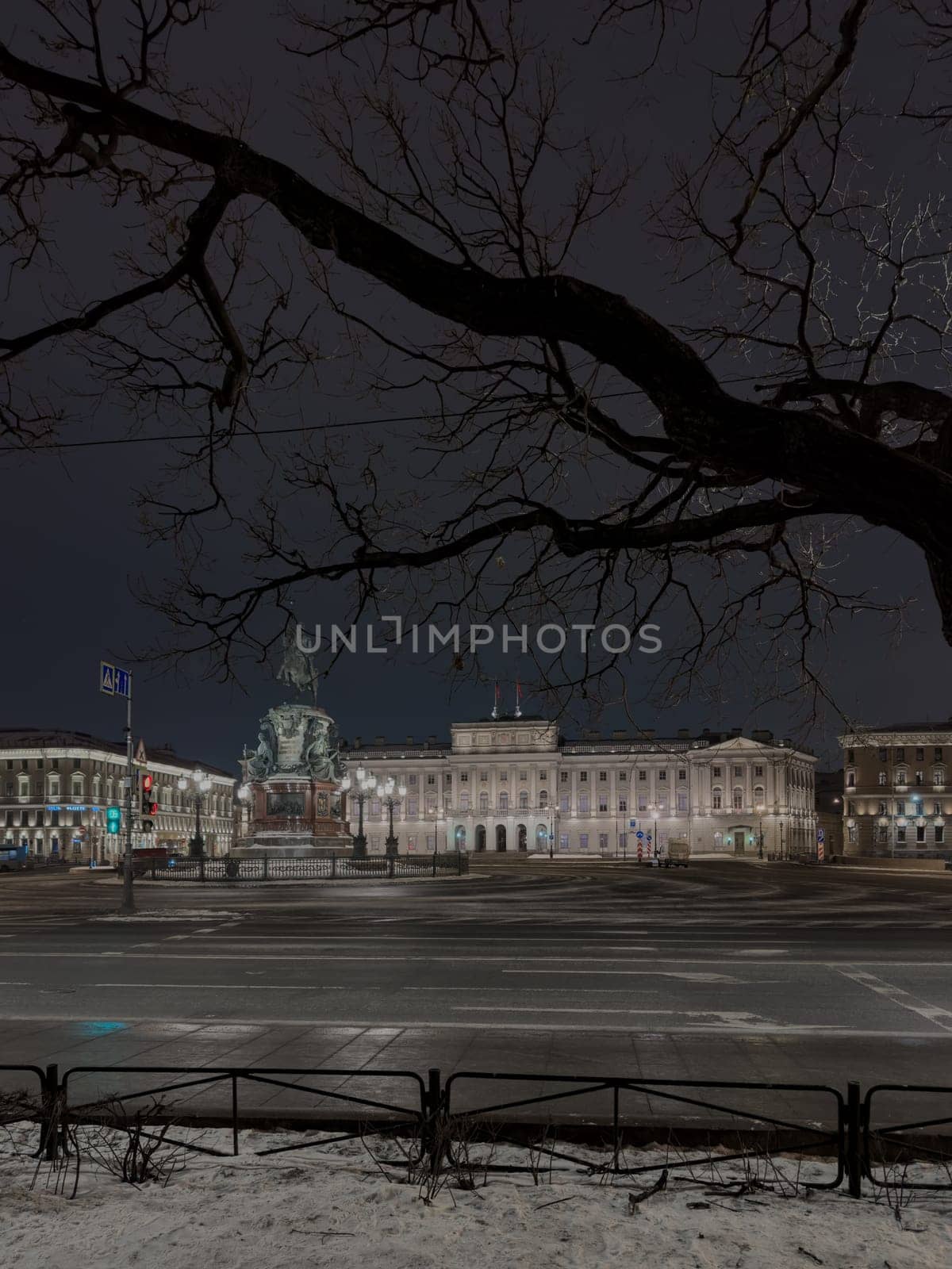 Russia, St. Petersburg, Government building, Mariinsky Palace. Legislative Assembly. Historical architecture. Russian flag. by vladimirdrozdin