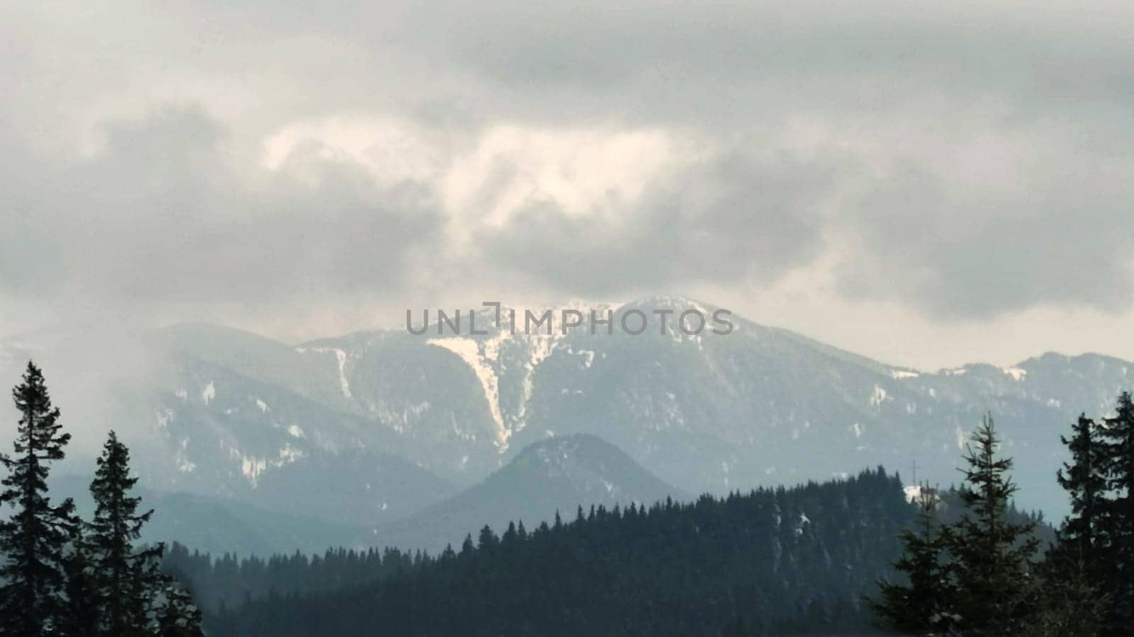 snow-capped Rhodope mountain peaks above the forest under a cloudy sky.
