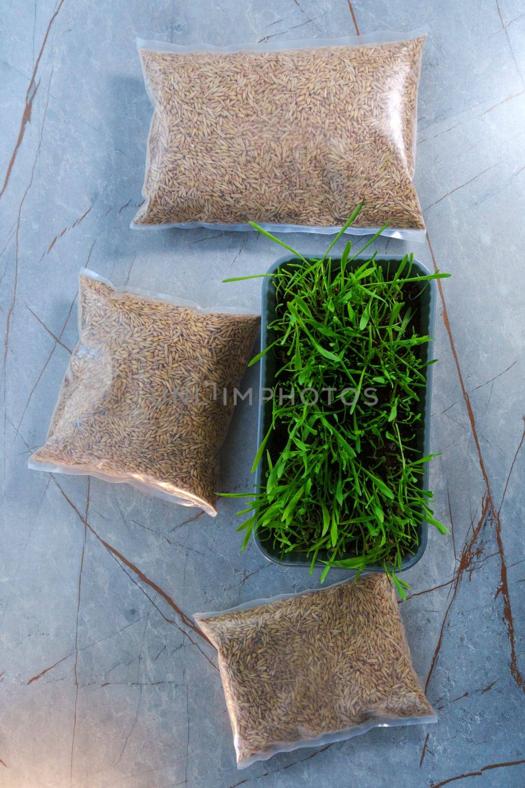 Two bags filled with cat grass sit atop a wooden table. Vertical photo