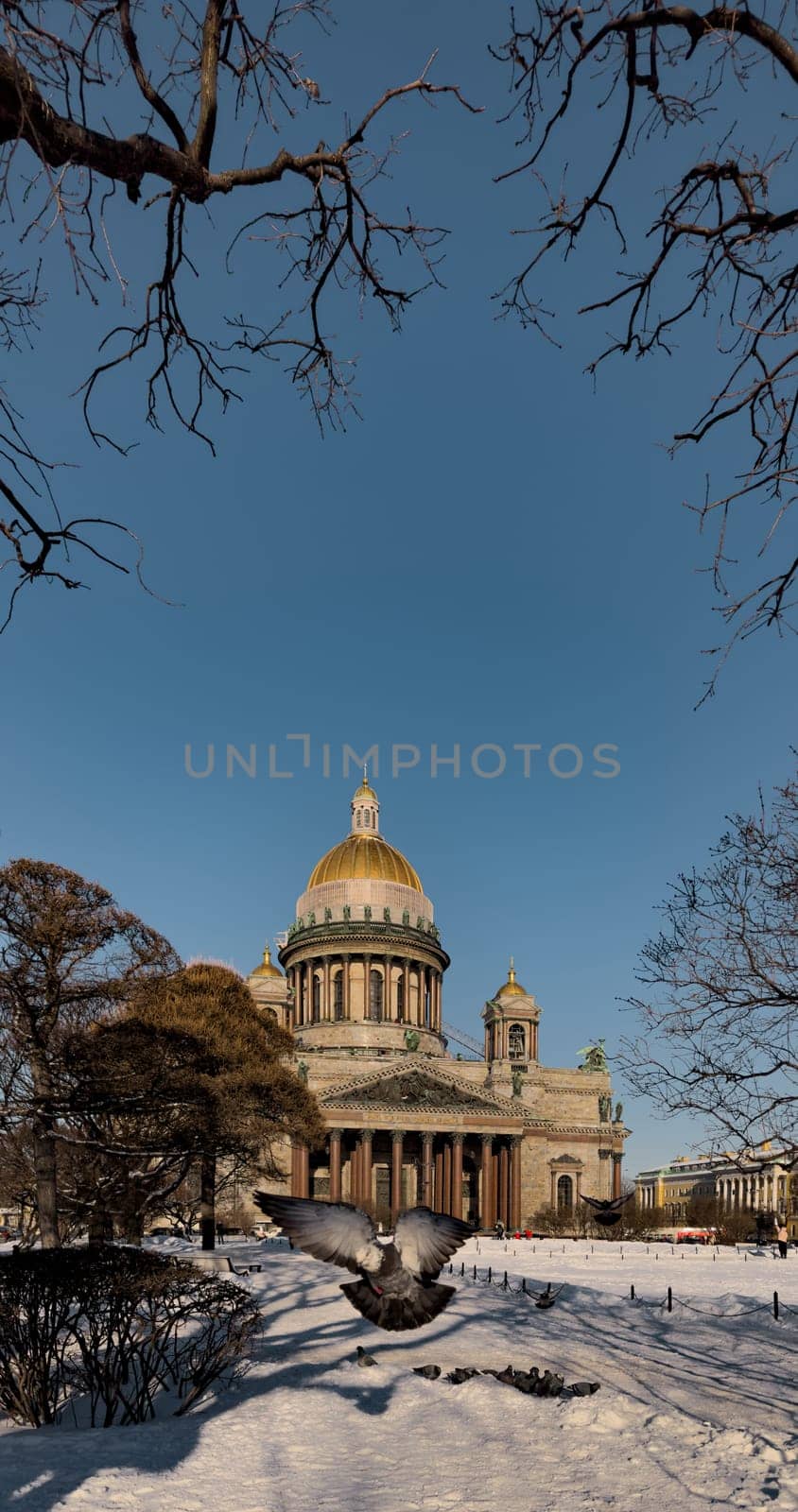 Snow-covered Park in front of St. Isaac's Cathedral in St. Petersburg - Russia in the spring sun by vladimirdrozdin