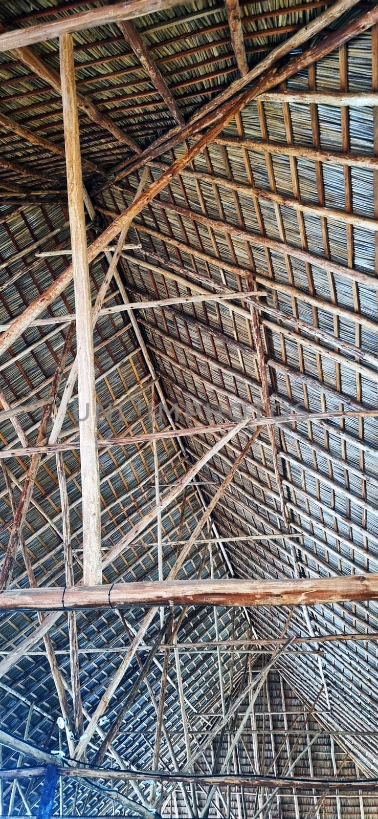 Conceptual shot of the wooden roof