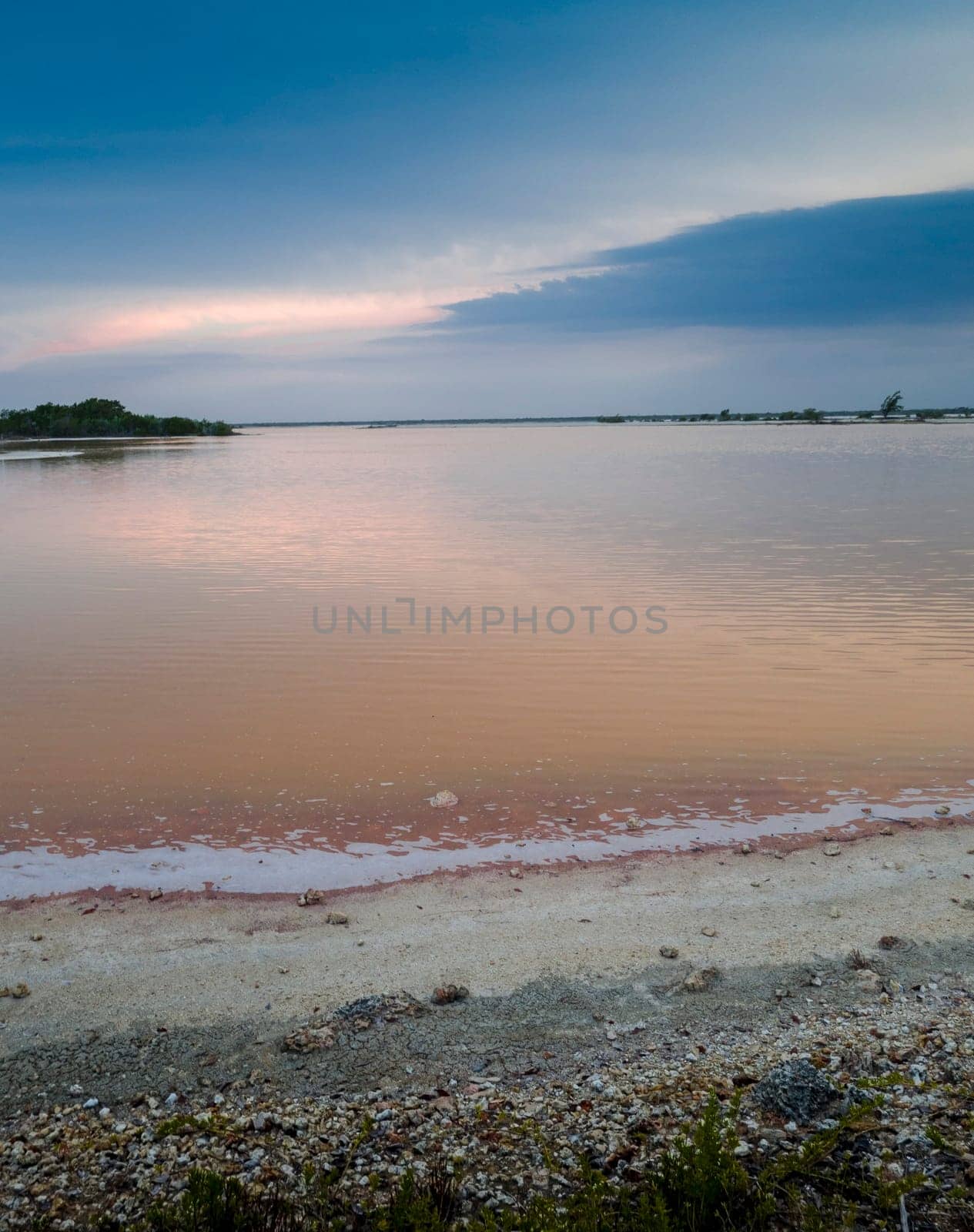 Pink lake in Cuba, Cayo Coco island. It has its color because of the plankton