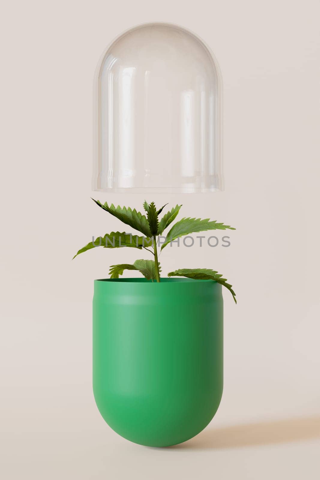 Green pill, capsule with a plant inside, depicting the essence of homeopathy and natural medicine. 3D rendering