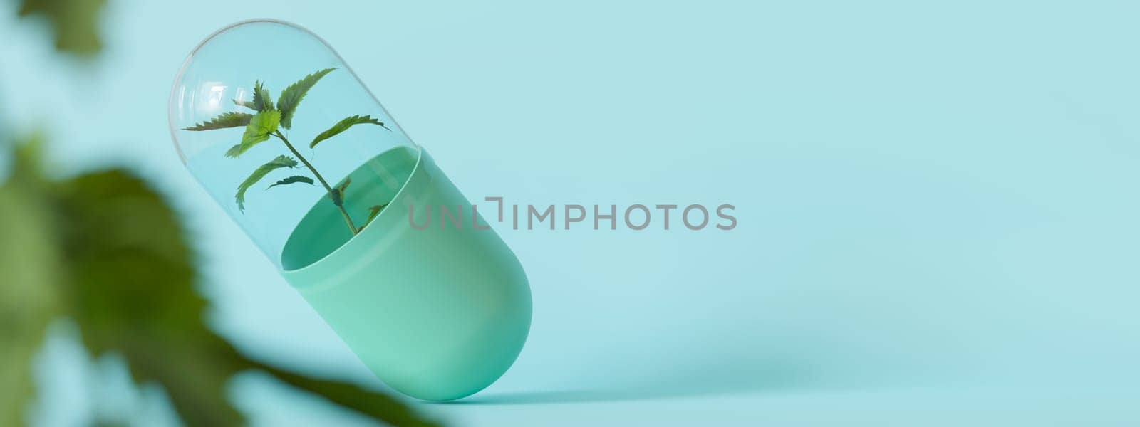 Elegant homeopathy capsule with a plant inside, conveying natural and alternative medicine concepts, ideal for wellness and healthcare imagery. Homeopathic therapy. Copy space for text. Banner. 3D