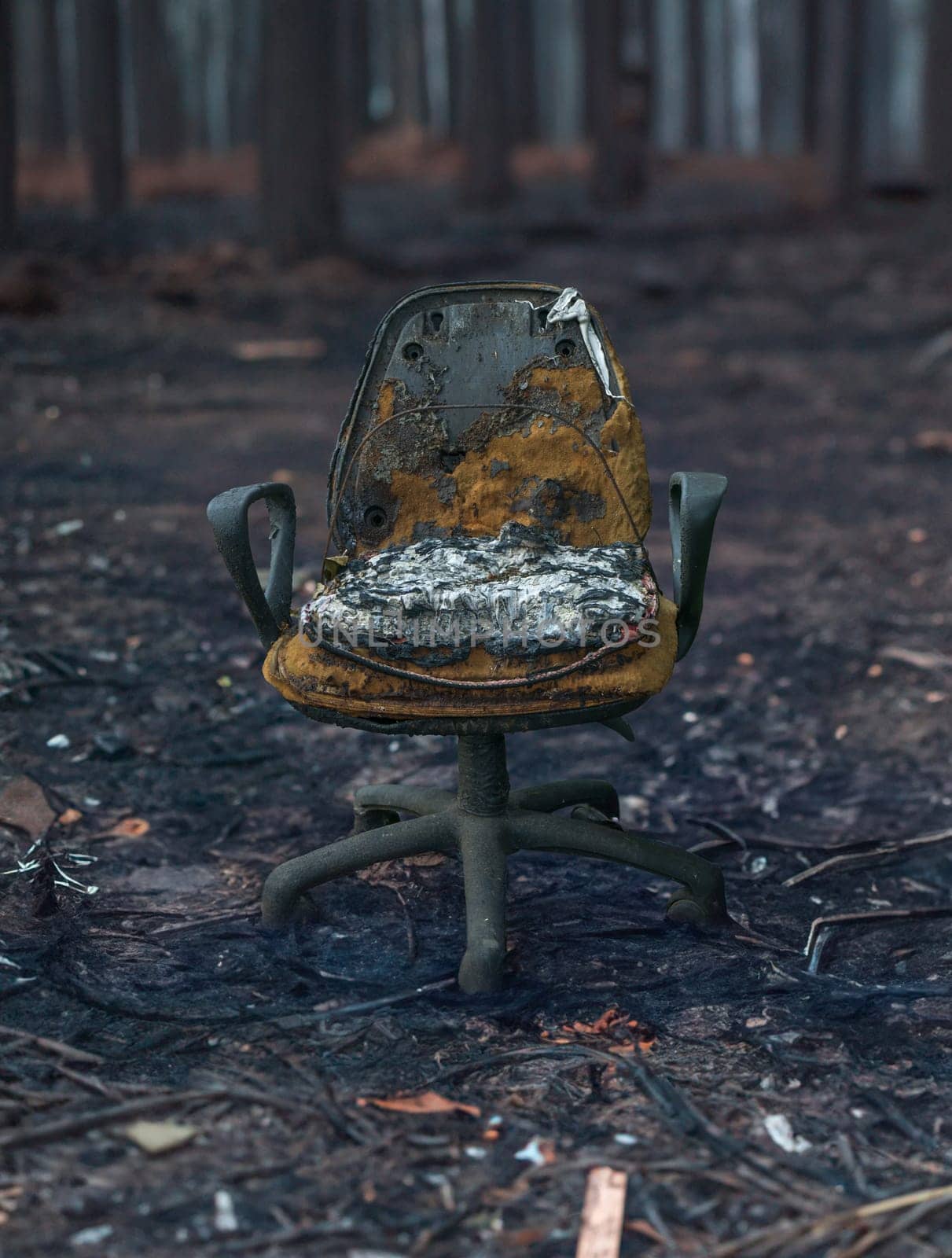 Remains Of An Office Chair After A Forest Fire by mrdoomits