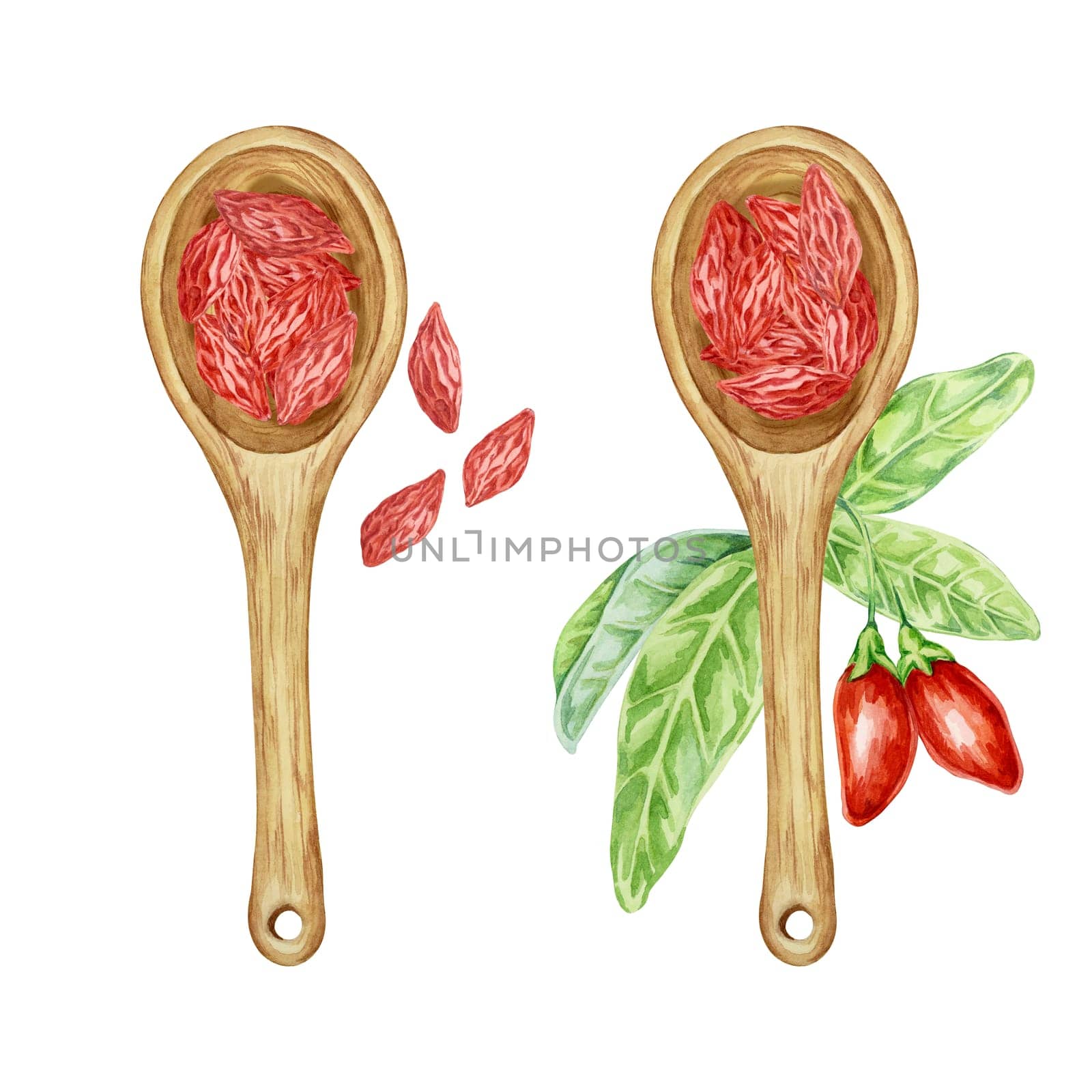 Two spoons with dry goji berries by Fofito