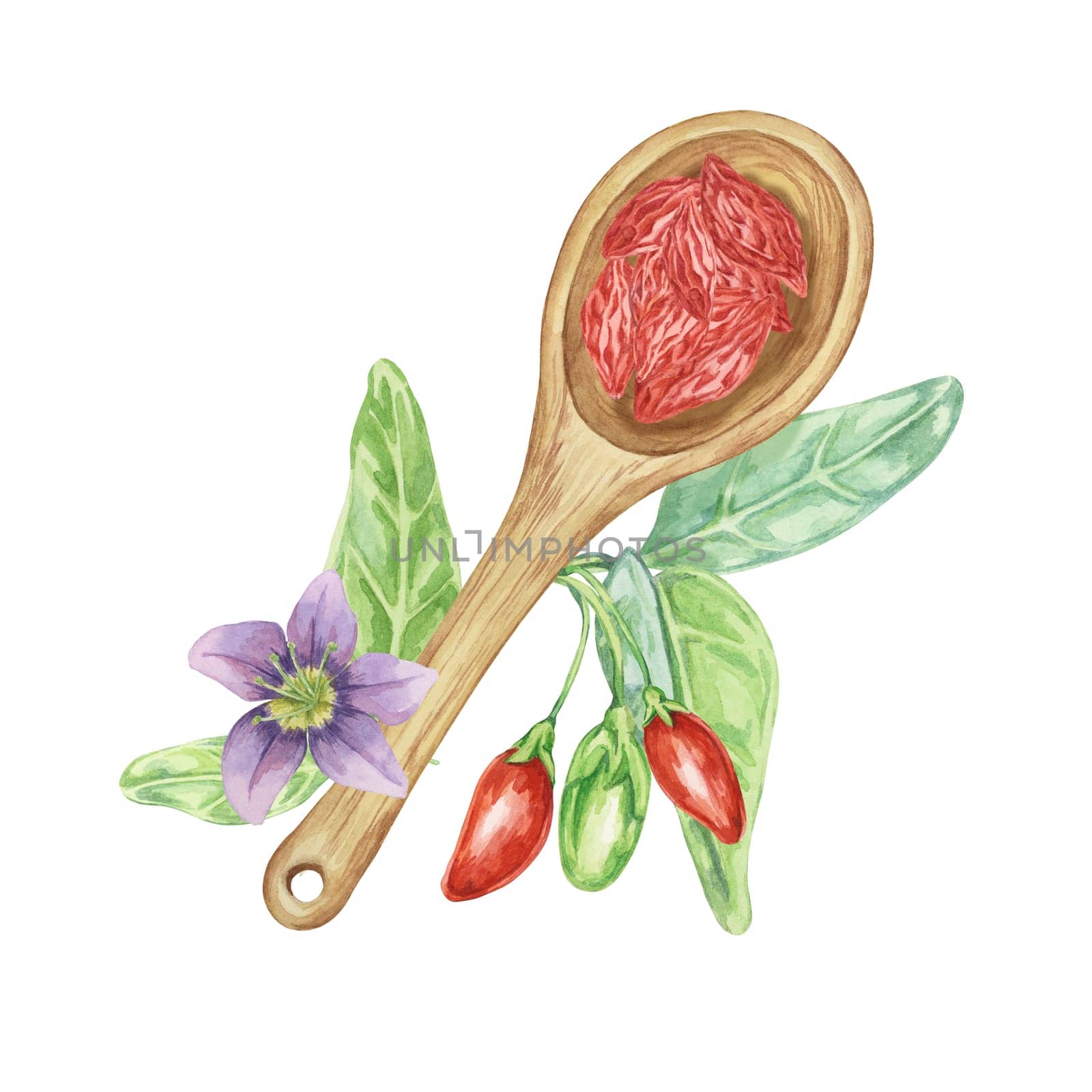 Composition with spoon and dry goji berries by Fofito