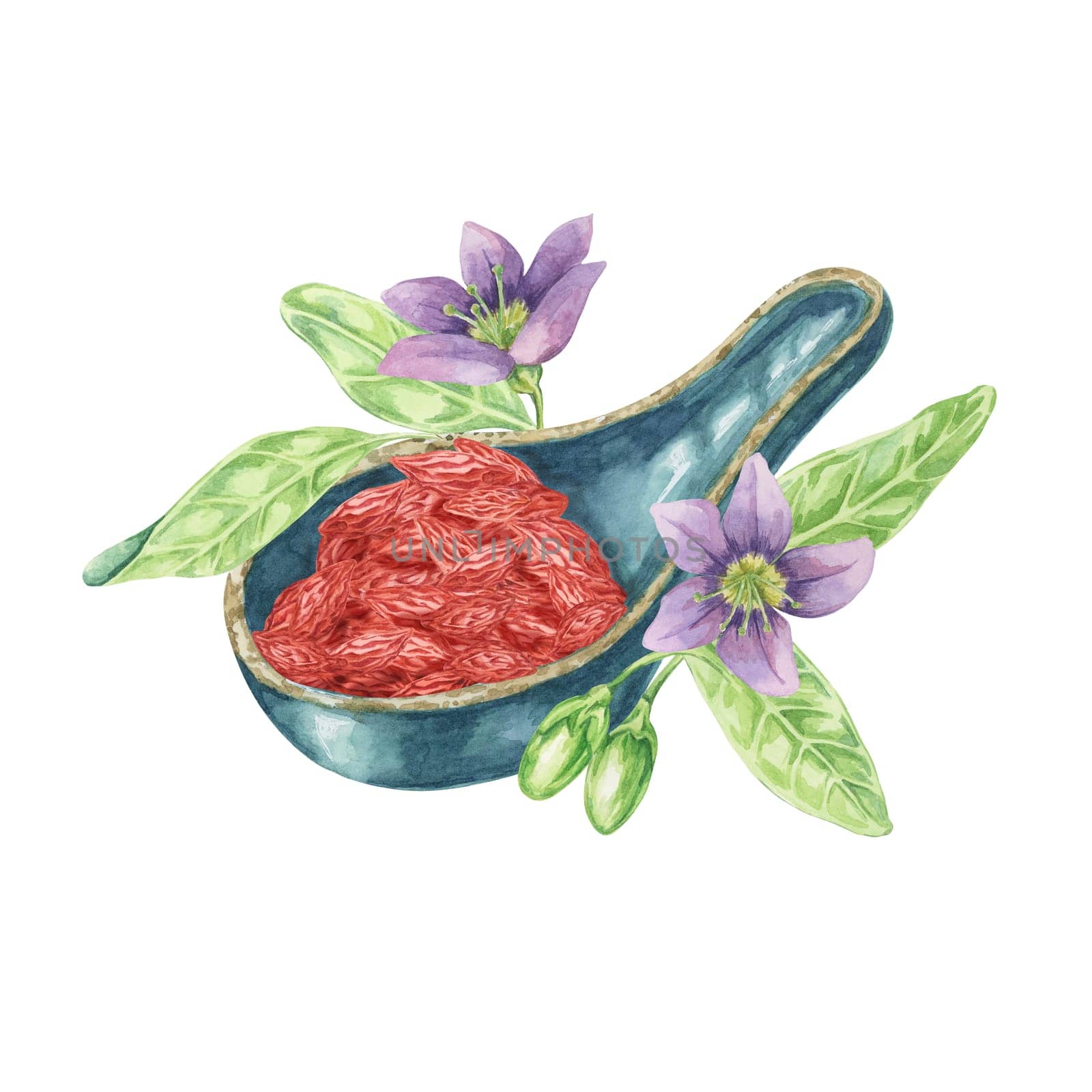 Ceramic asian spoon with dry and fresh goji berries. Hand-drawn watercolor clipart of red and green licium barbarum fruits. Design for printing, packaging, cards, food supplements isolated on white.