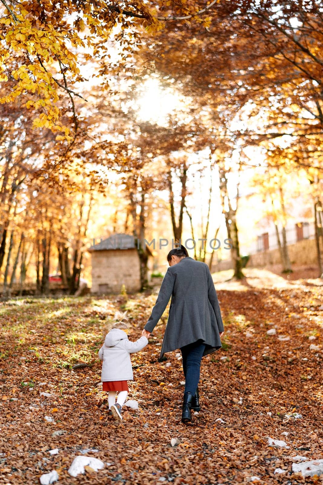 Mom and a little girl walk holding hands through the autumn park. Back view. High quality photo