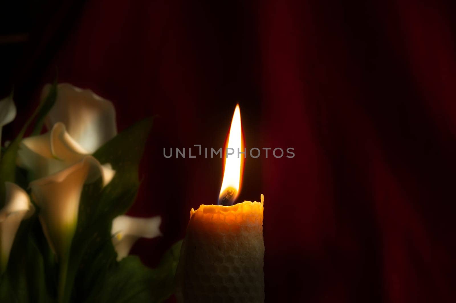 Burning wax candle and white lily flowers in darkness by NetPix