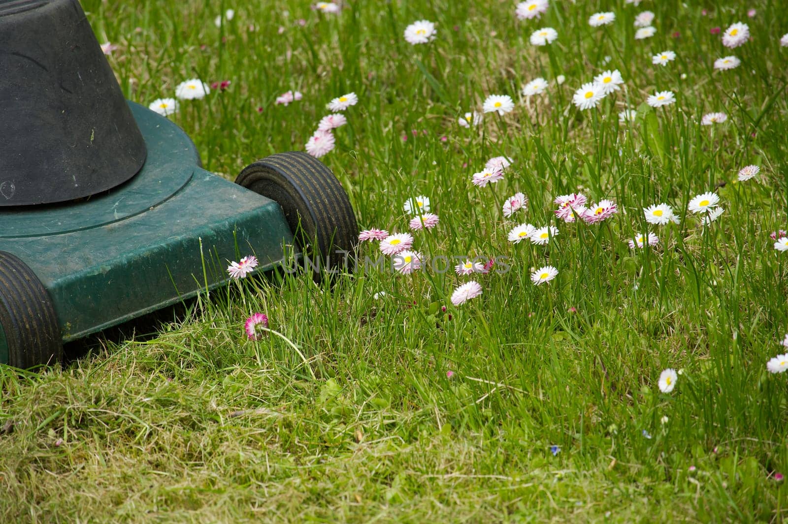 Seasons and yard maintenance concept with lawn mower by NetPix