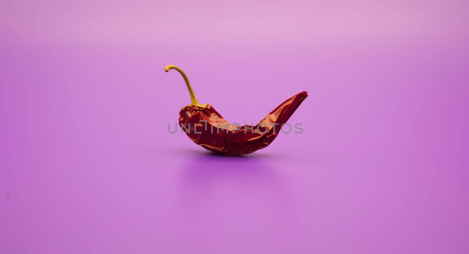 Dried red chili peppers against a vivid lilac background by NetPix