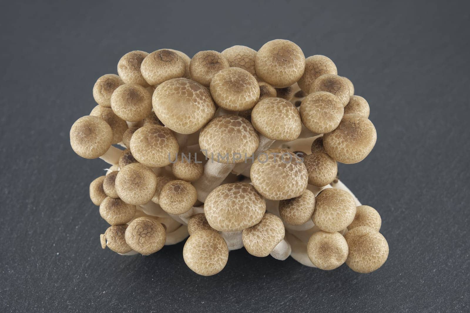 Brown beech mushrooms arranged on black stone plate by NetPix