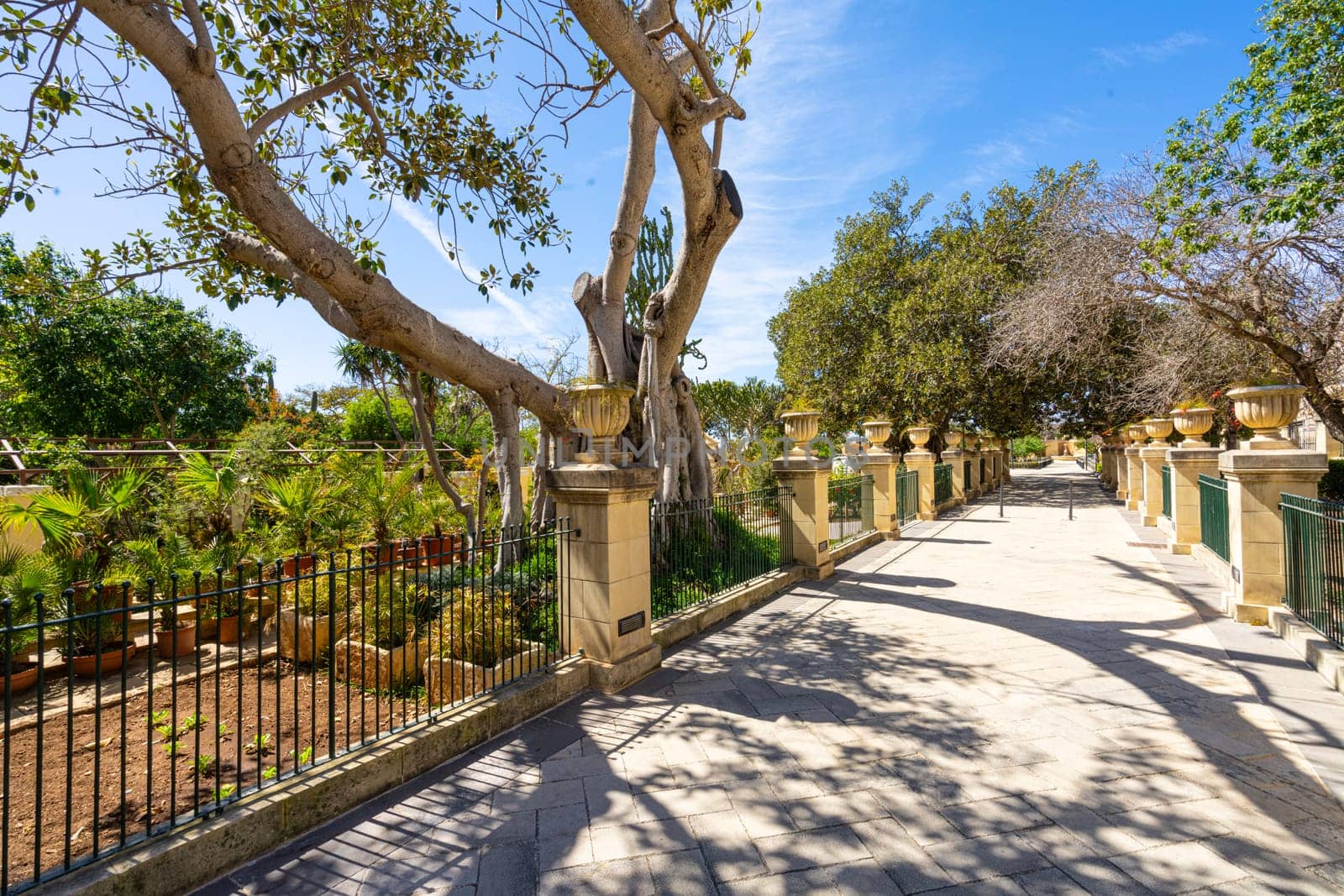 Argotti botanic gardens in Valletta, Malta by sergiodv