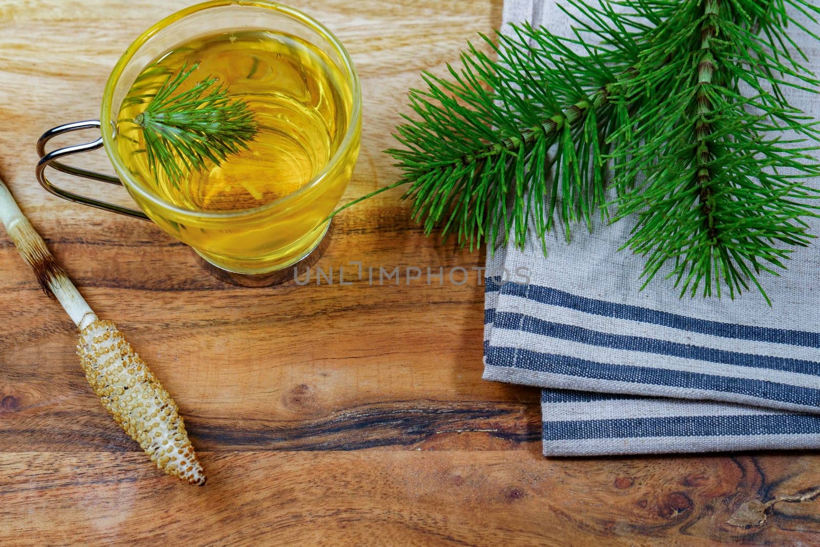 infusion of medicinal plant, horsetail Equisetum arvense by joseantona